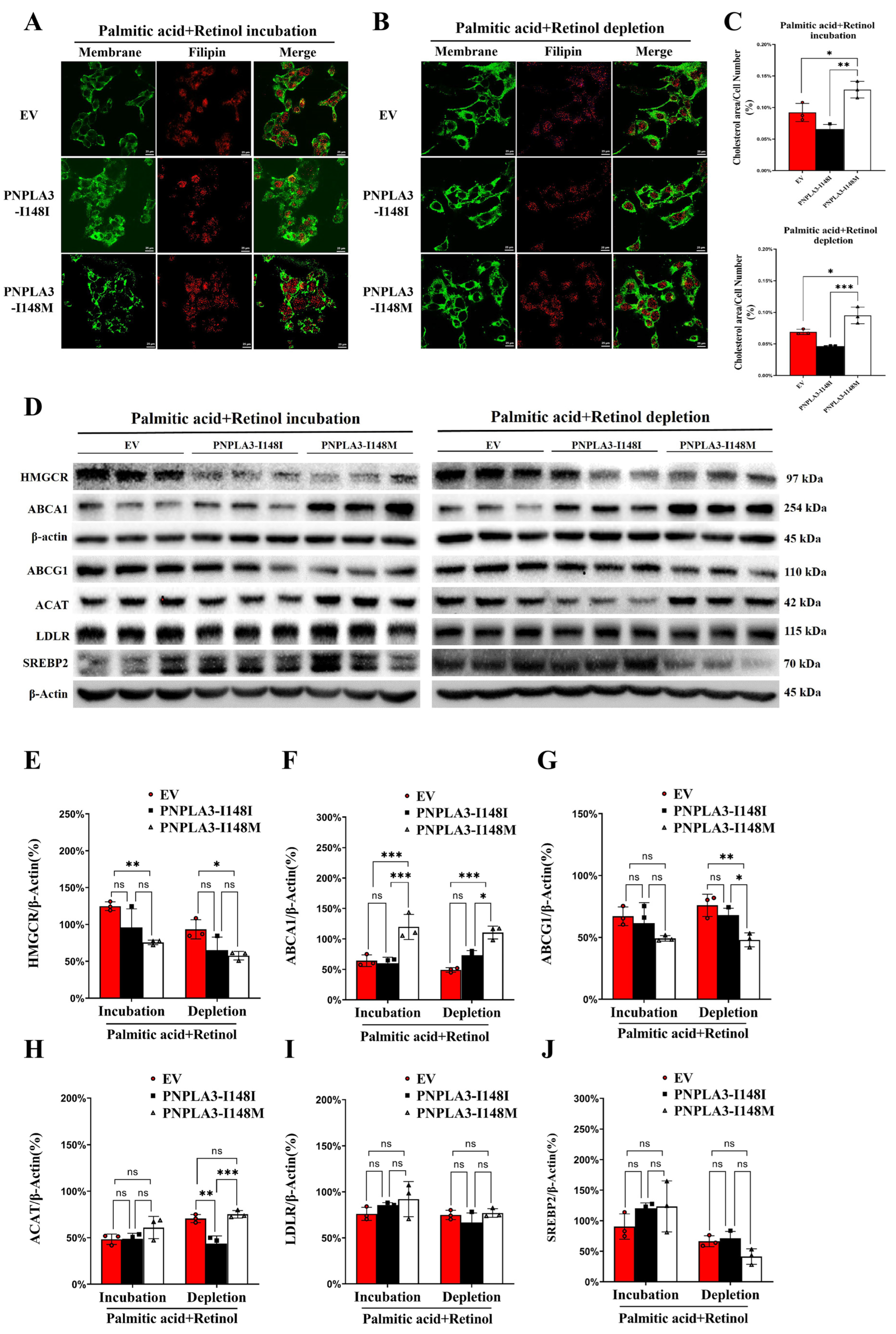 Ijms 24 09681 g002 Ijms 24 09681 g002