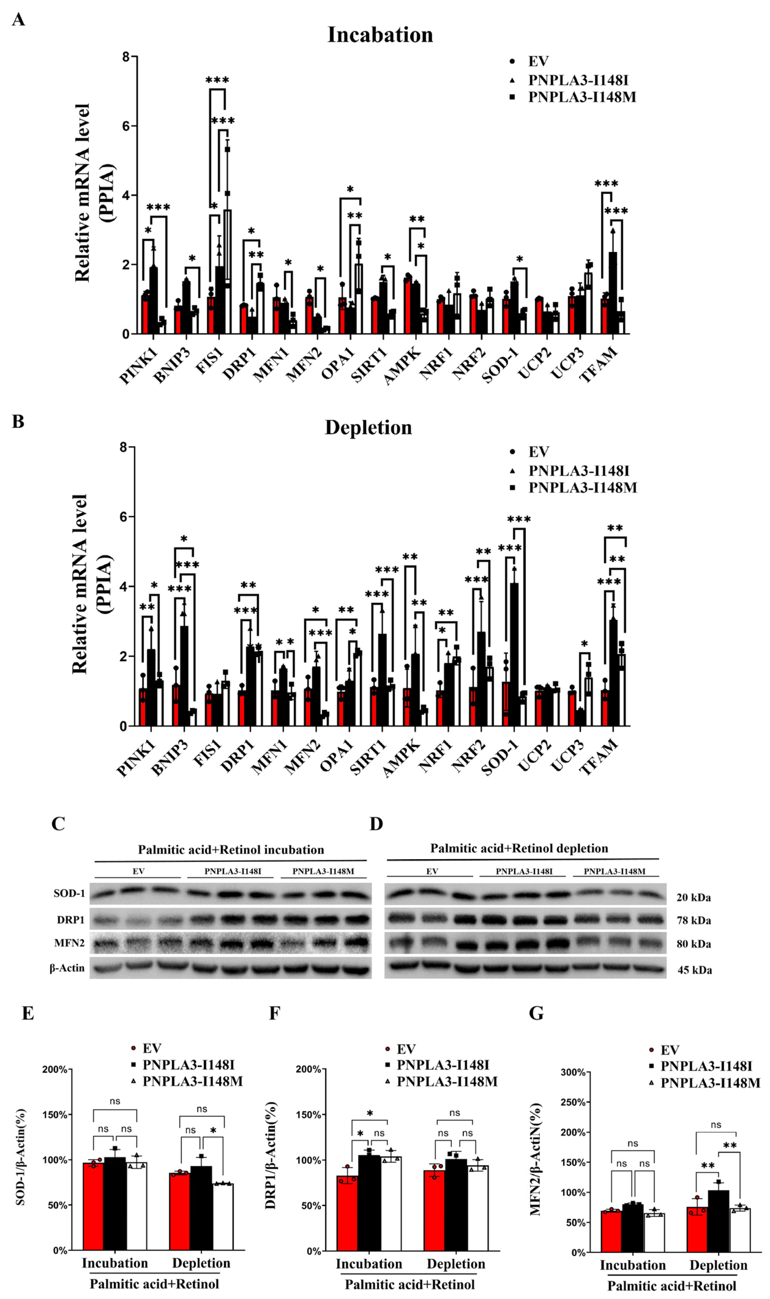 Ijms 24 09681 g004 Ijms 24 09681 g004