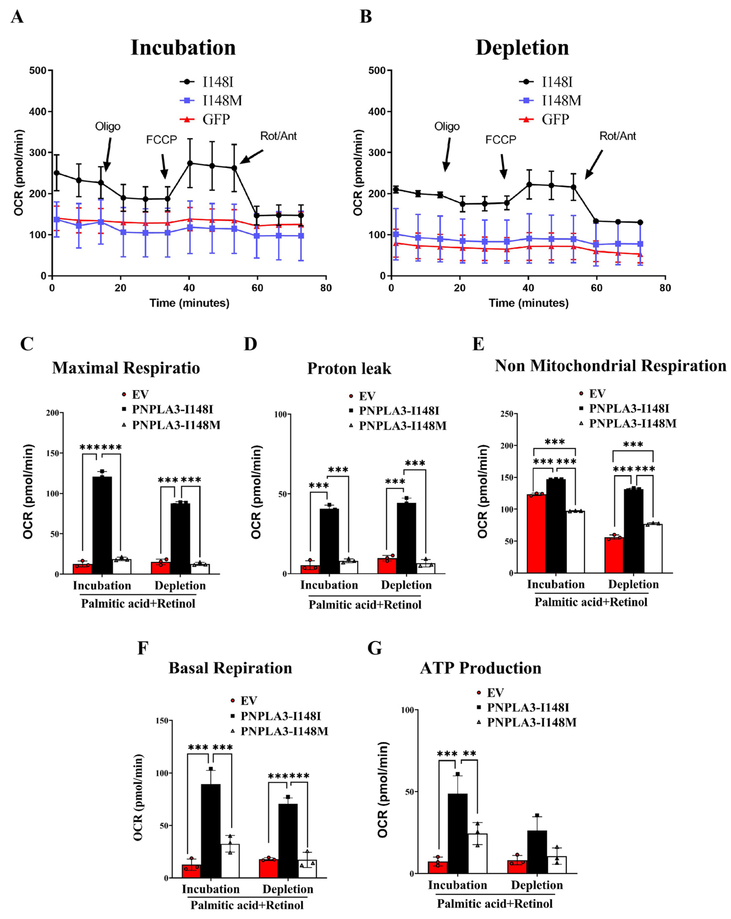 Ijms 24 09681 g005 Ijms 24 09681 g005