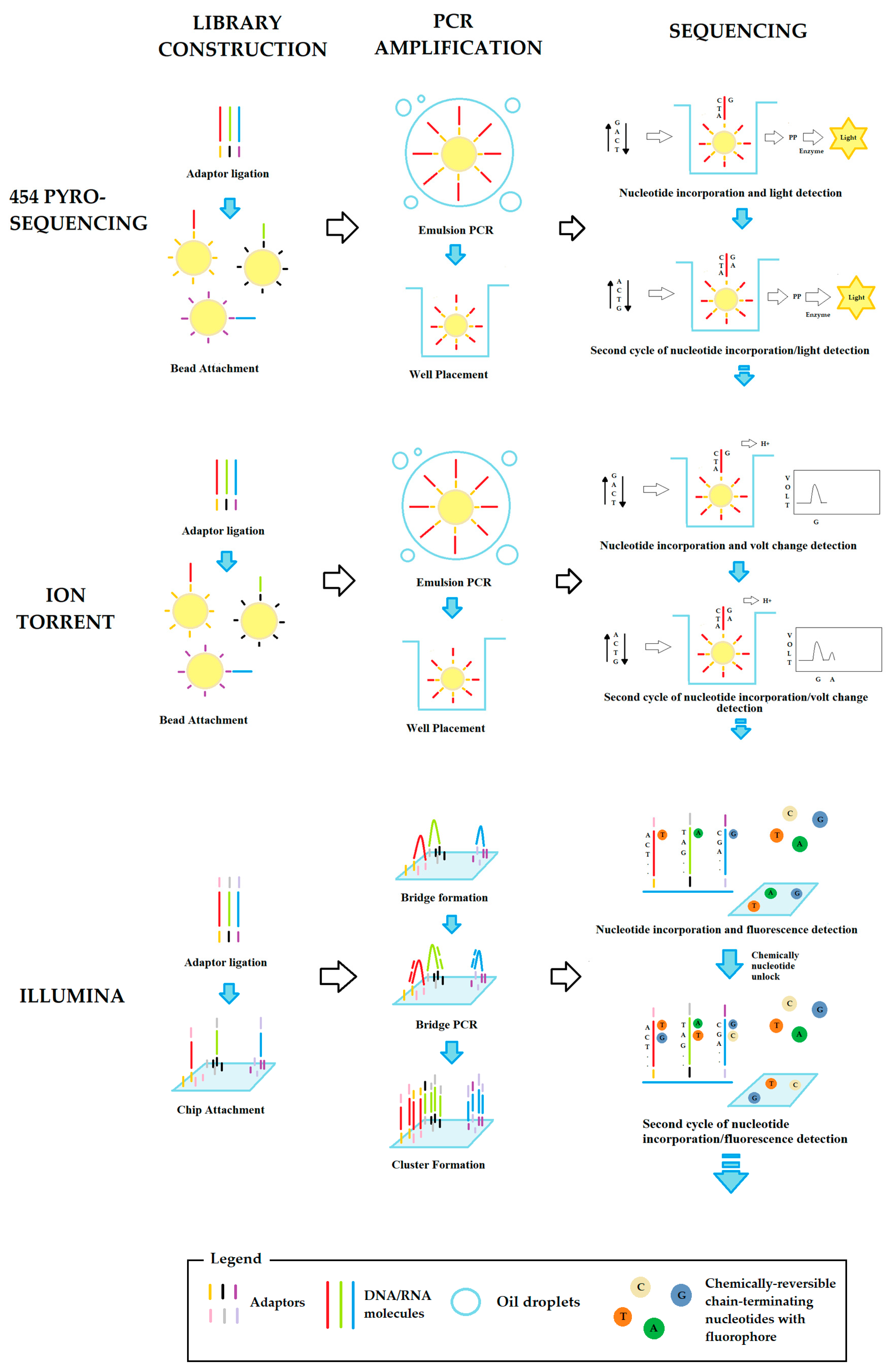 Empcr Next-Generation Sequencing and Triple-Negative Breast Cancer: Insights ...