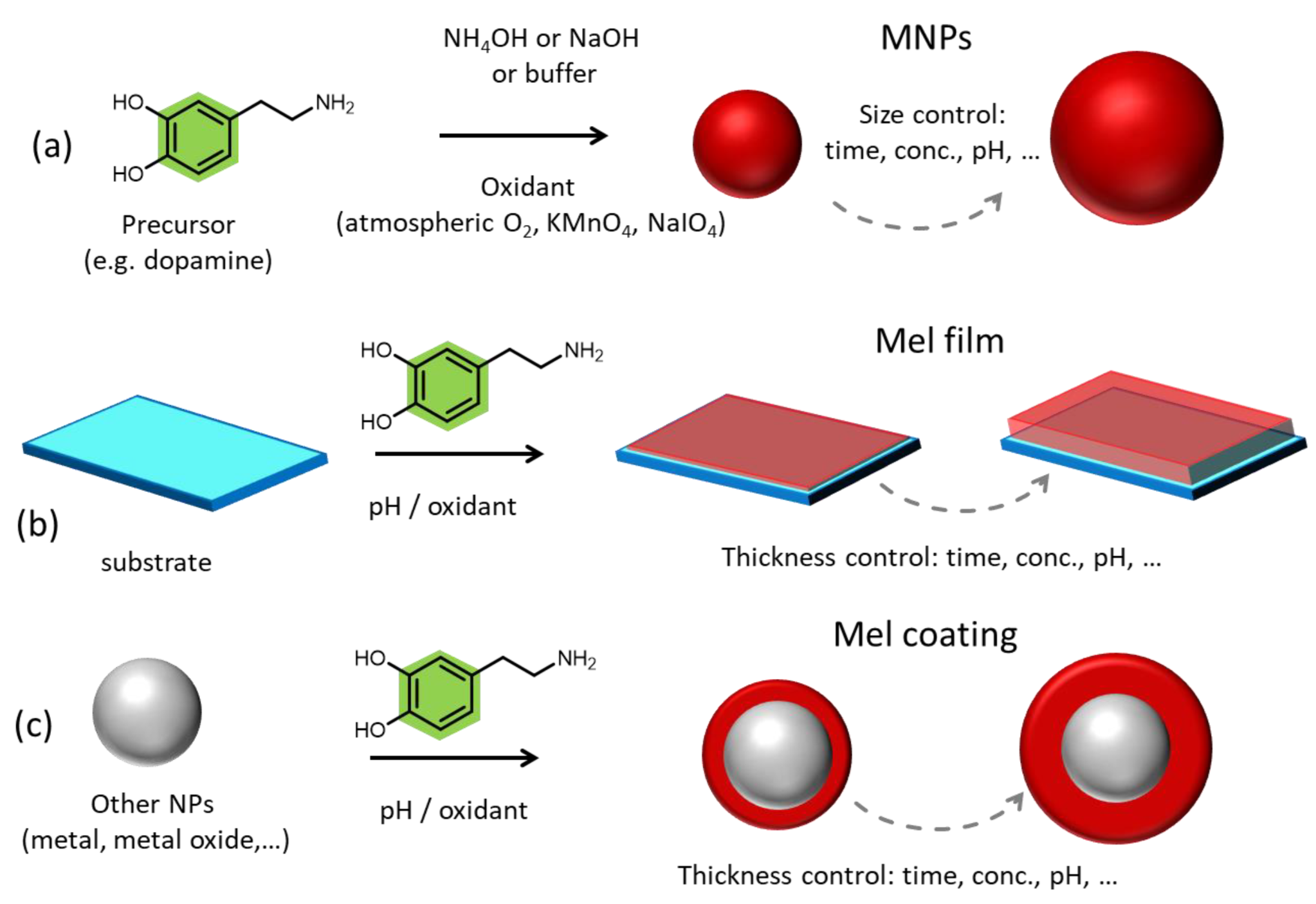 Ijms 24 09689 g001 Ijms 24 09689 g001