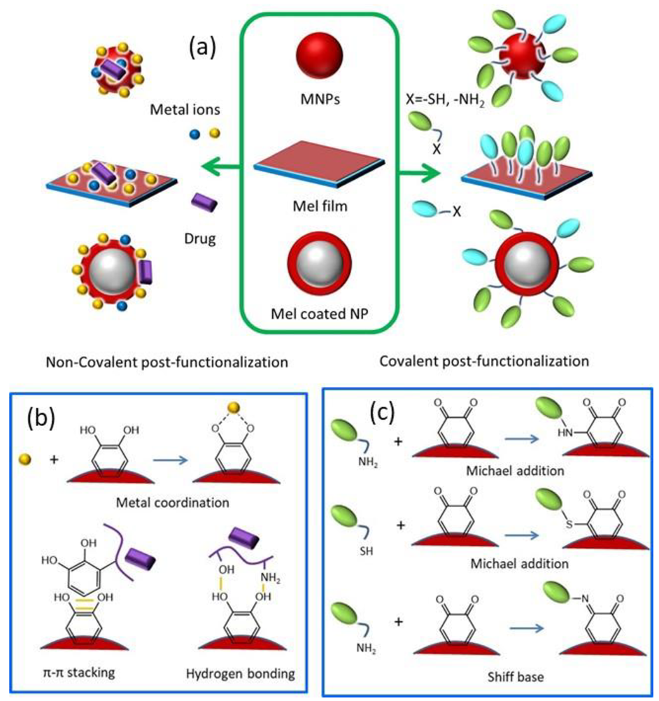 Ijms 24 09689 g002 Ijms 24 09689 g002