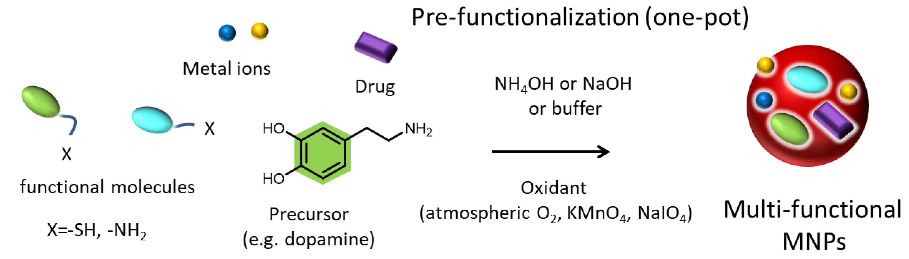 Ijms 24 09689 g003 Ijms 24 09689 g003