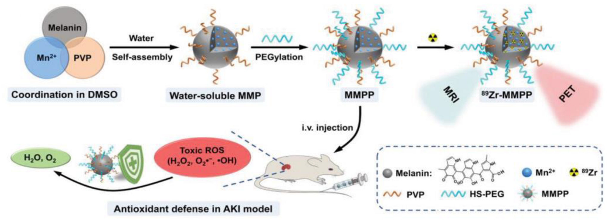 Ijms 24 09689 g005 Ijms 24 09689 g005