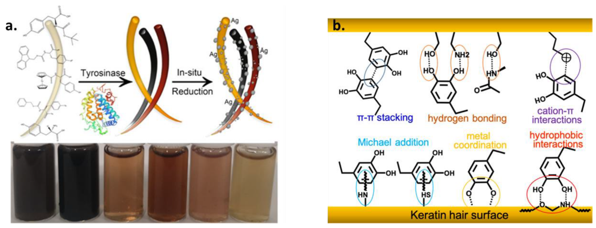 Ijms 24 09689 g006 Ijms 24 09689 g006