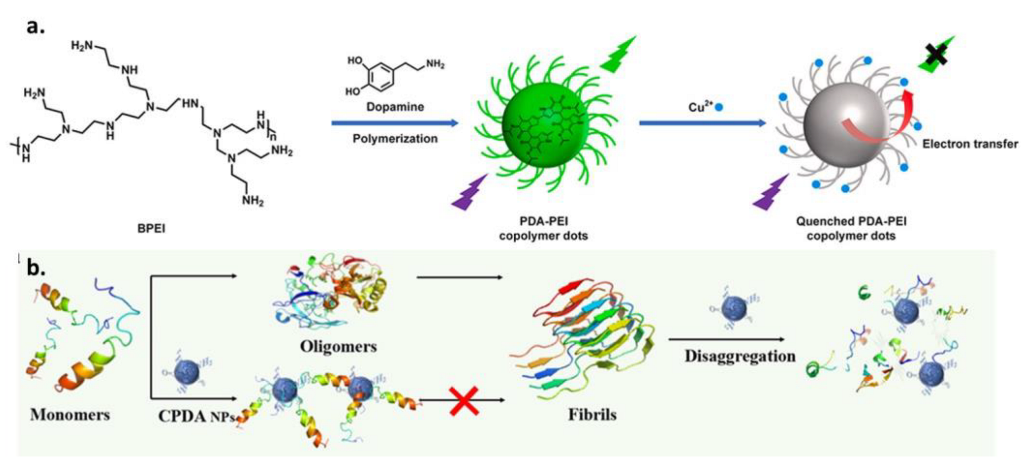 Ijms 24 09689 g009 Ijms 24 09689 g009