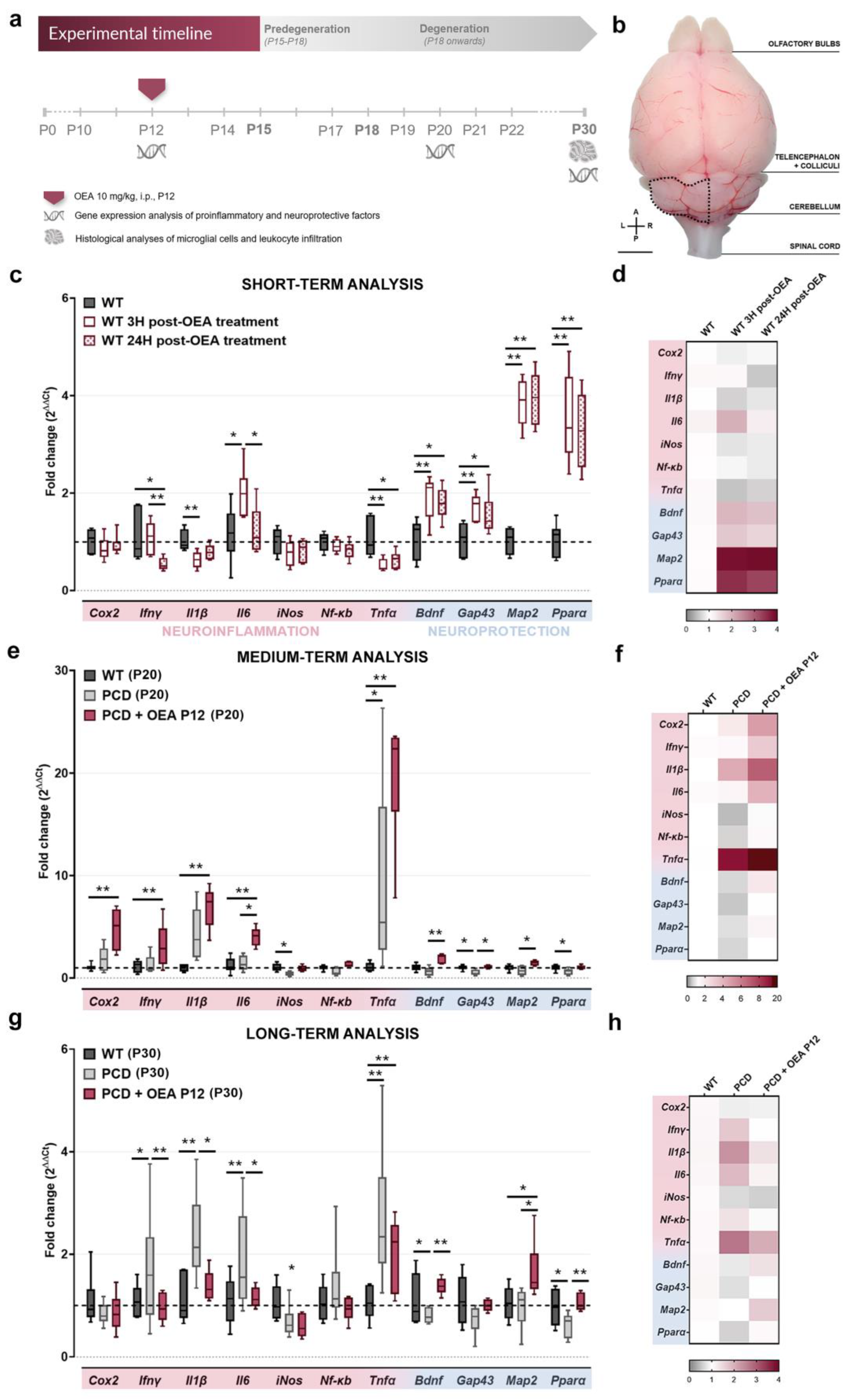Ijms 24 09691 g001 Ijms 24 09691 g001