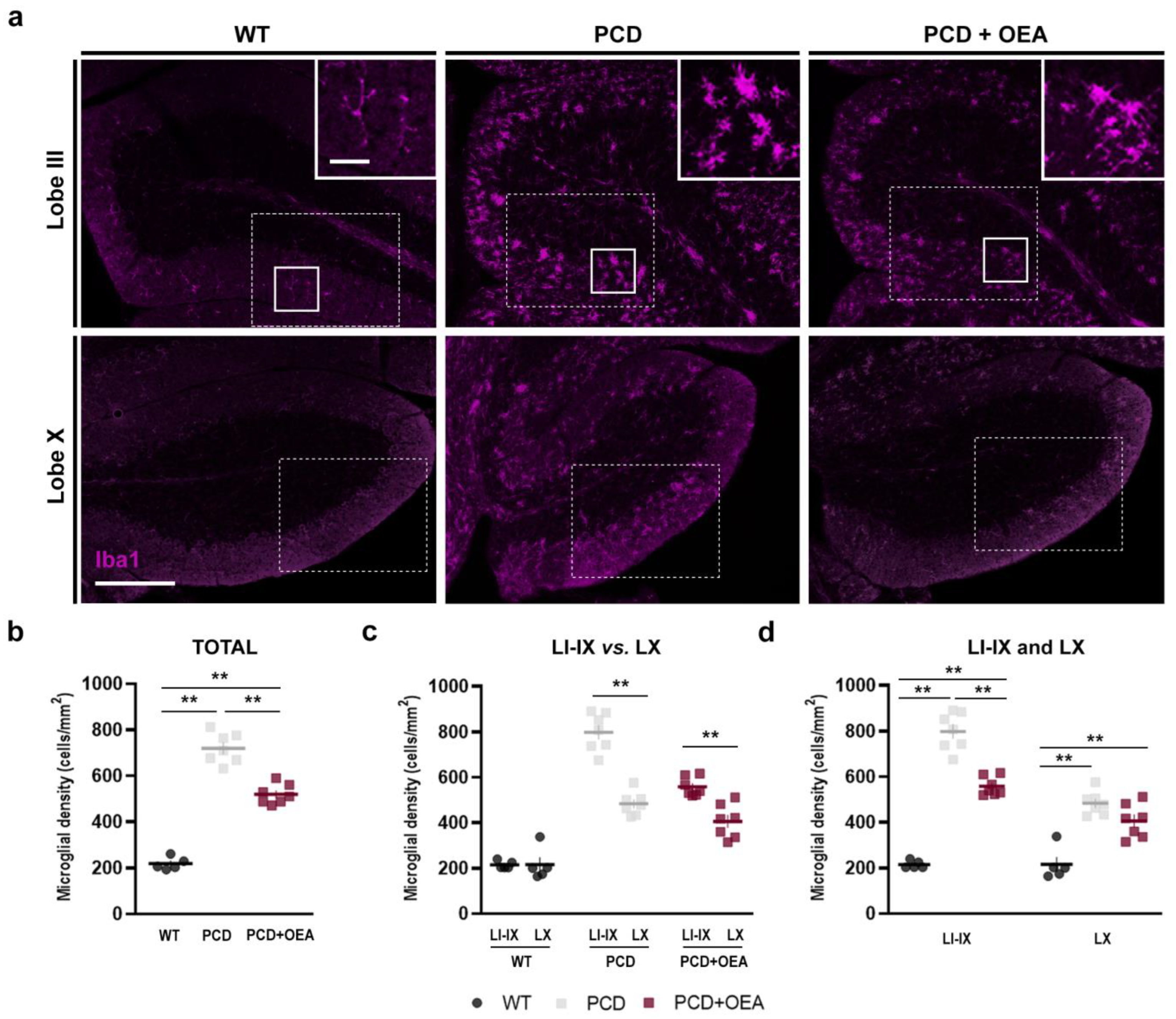 Ijms 24 09691 g002 Ijms 24 09691 g002