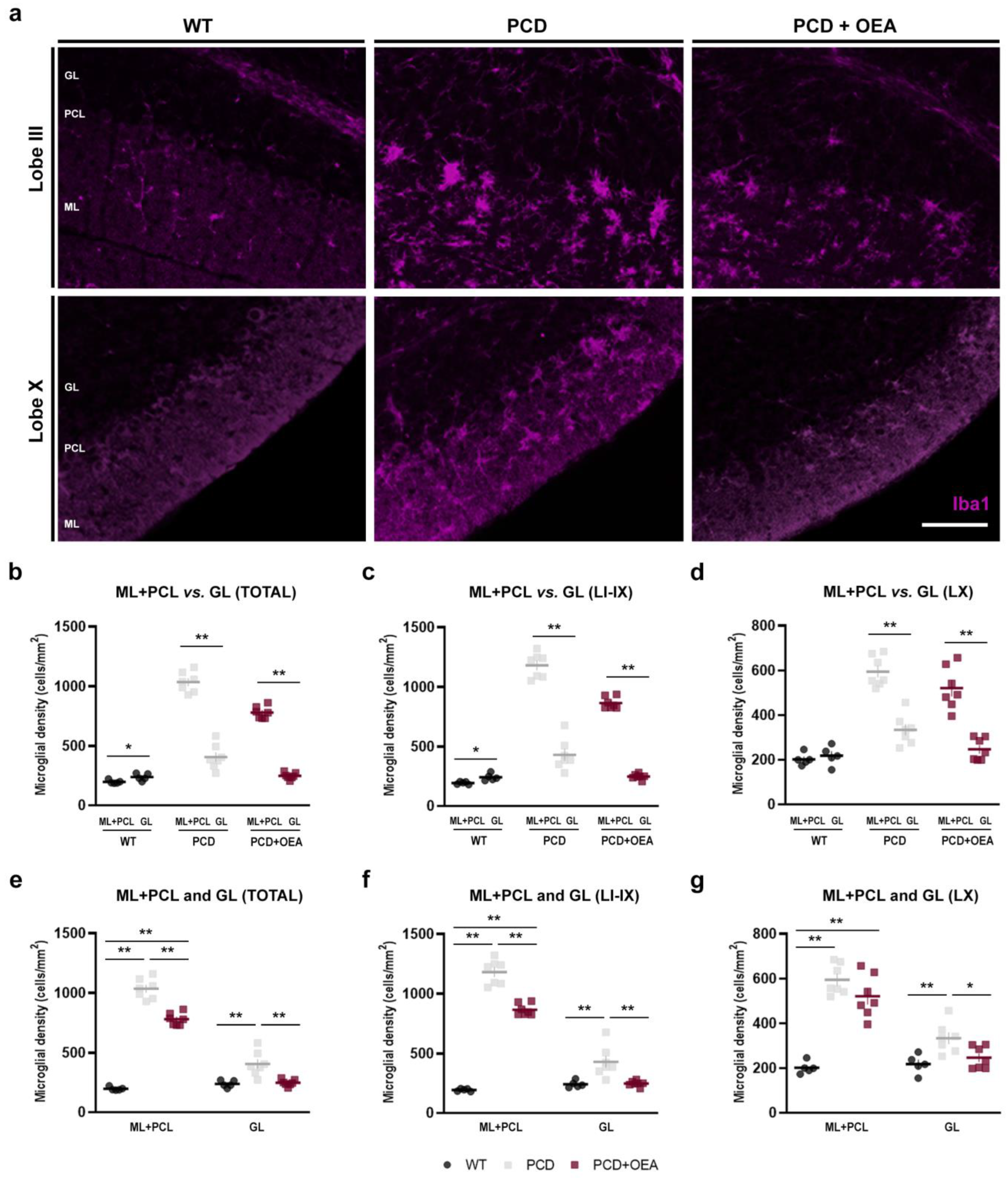 Ijms 24 09691 g003 Ijms 24 09691 g003