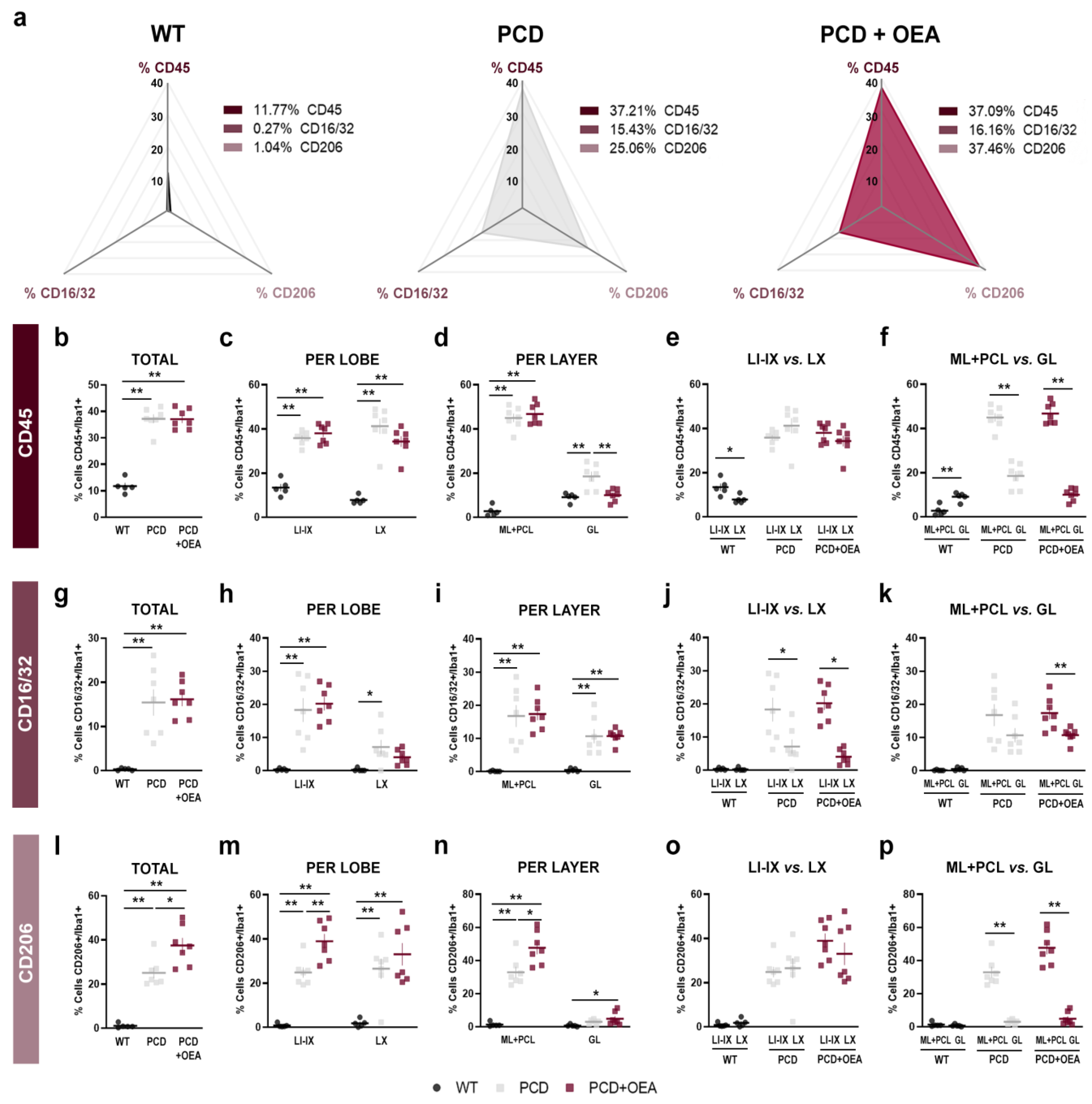 Ijms 24 09691 g005 Ijms 24 09691 g005