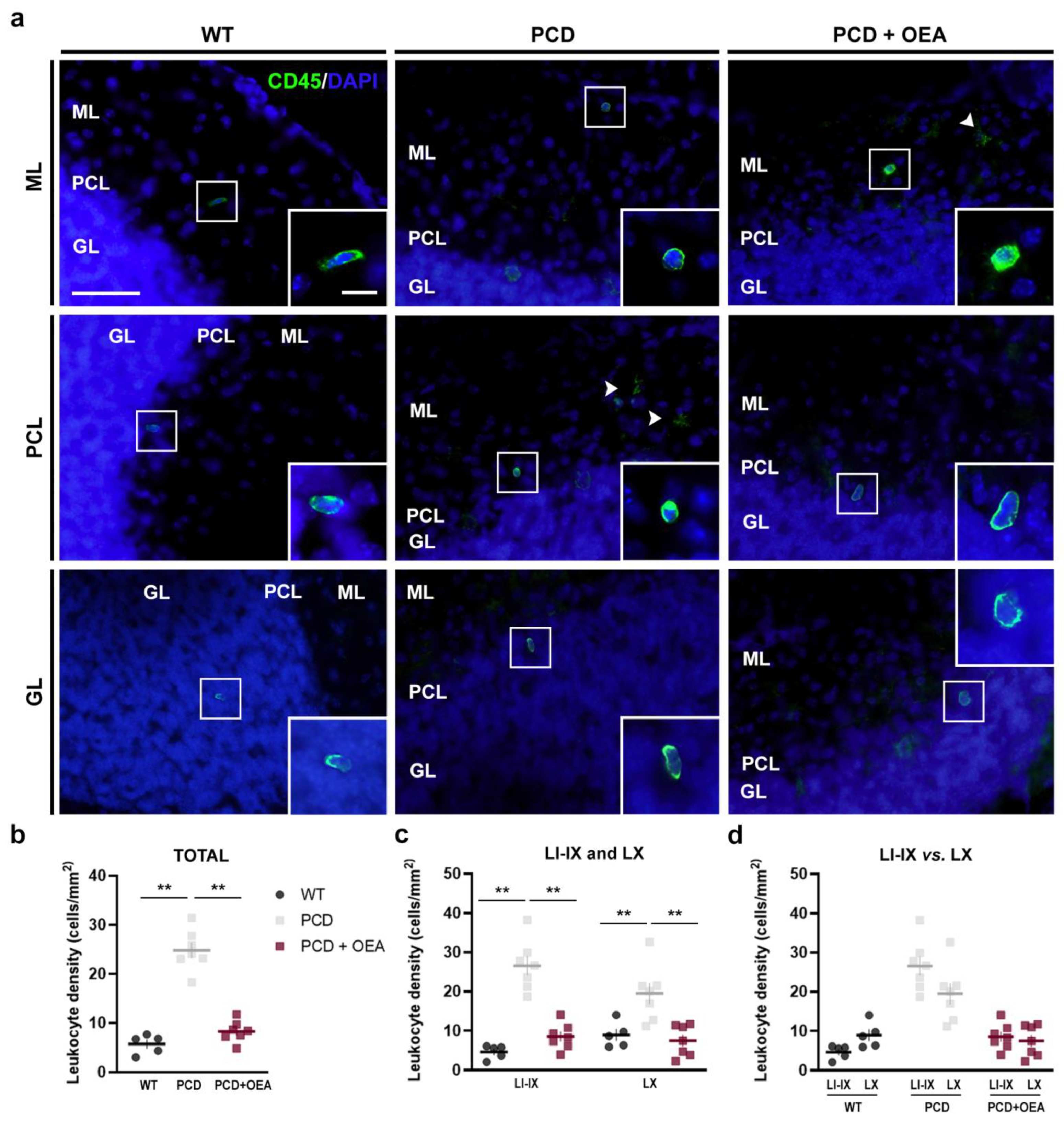 Ijms 24 09691 g006 Ijms 24 09691 g006