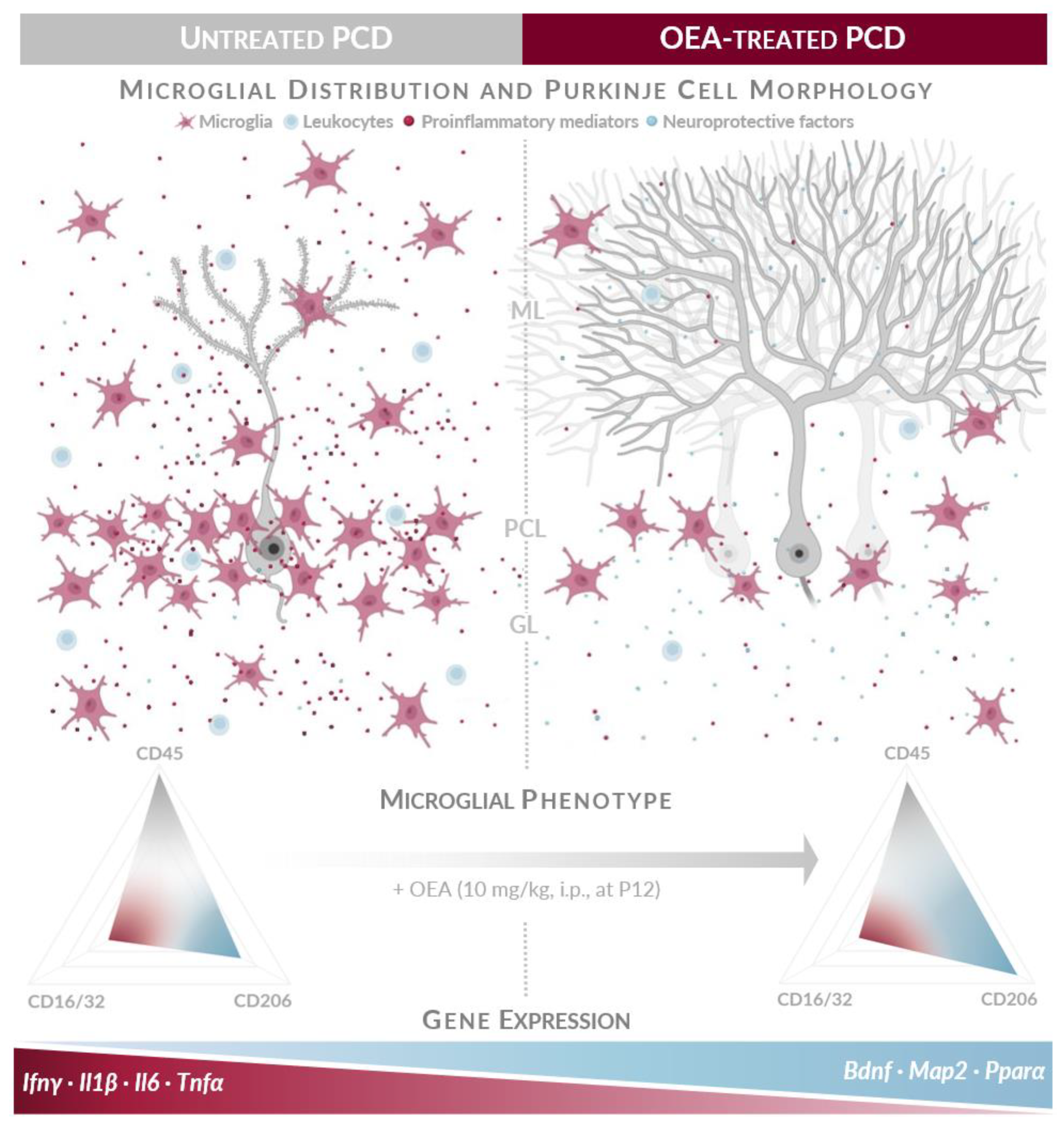 Ijms 24 09691 g007 Ijms 24 09691 g007