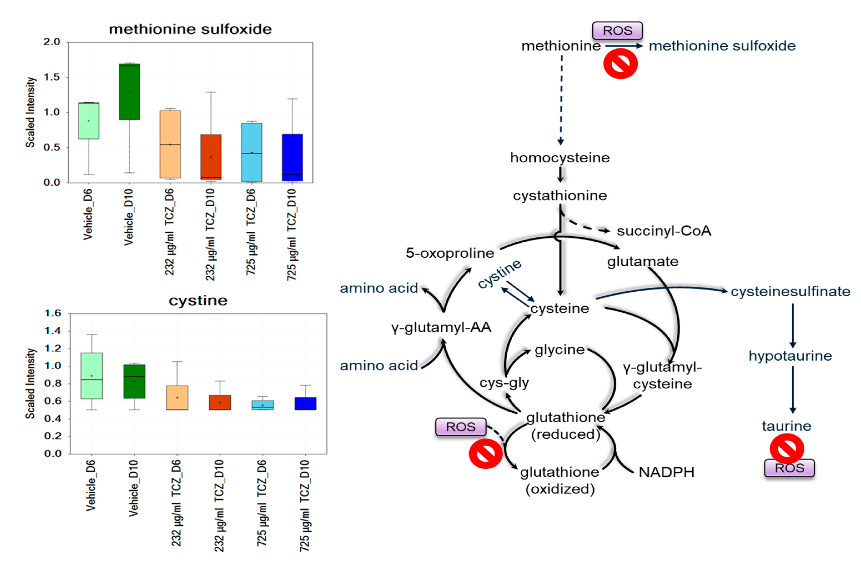 Ijms 24 09692 g002b Ijms 24 09692 g002b