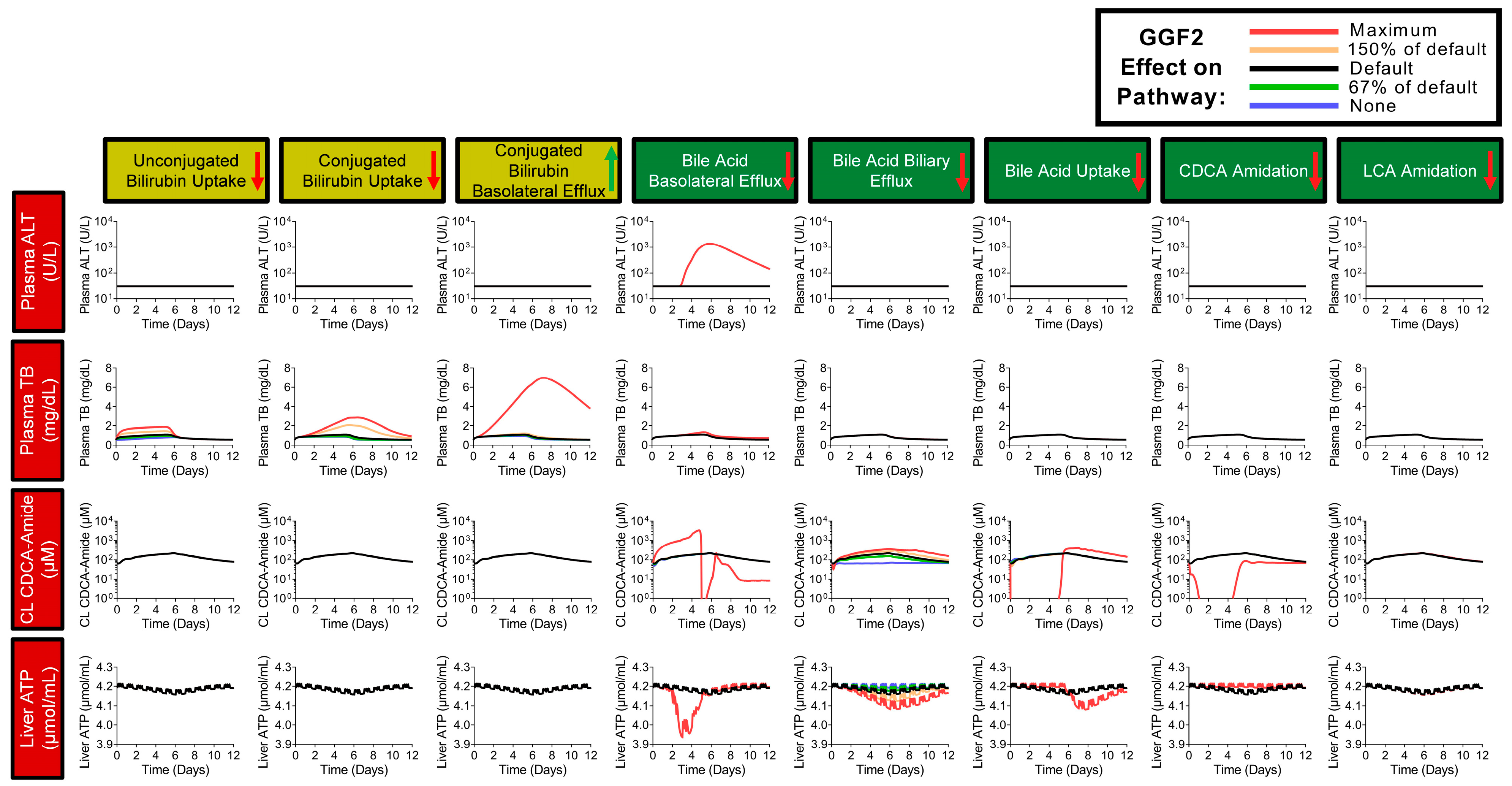 Ijms 24 09692 g007 Ijms 24 09692 g007