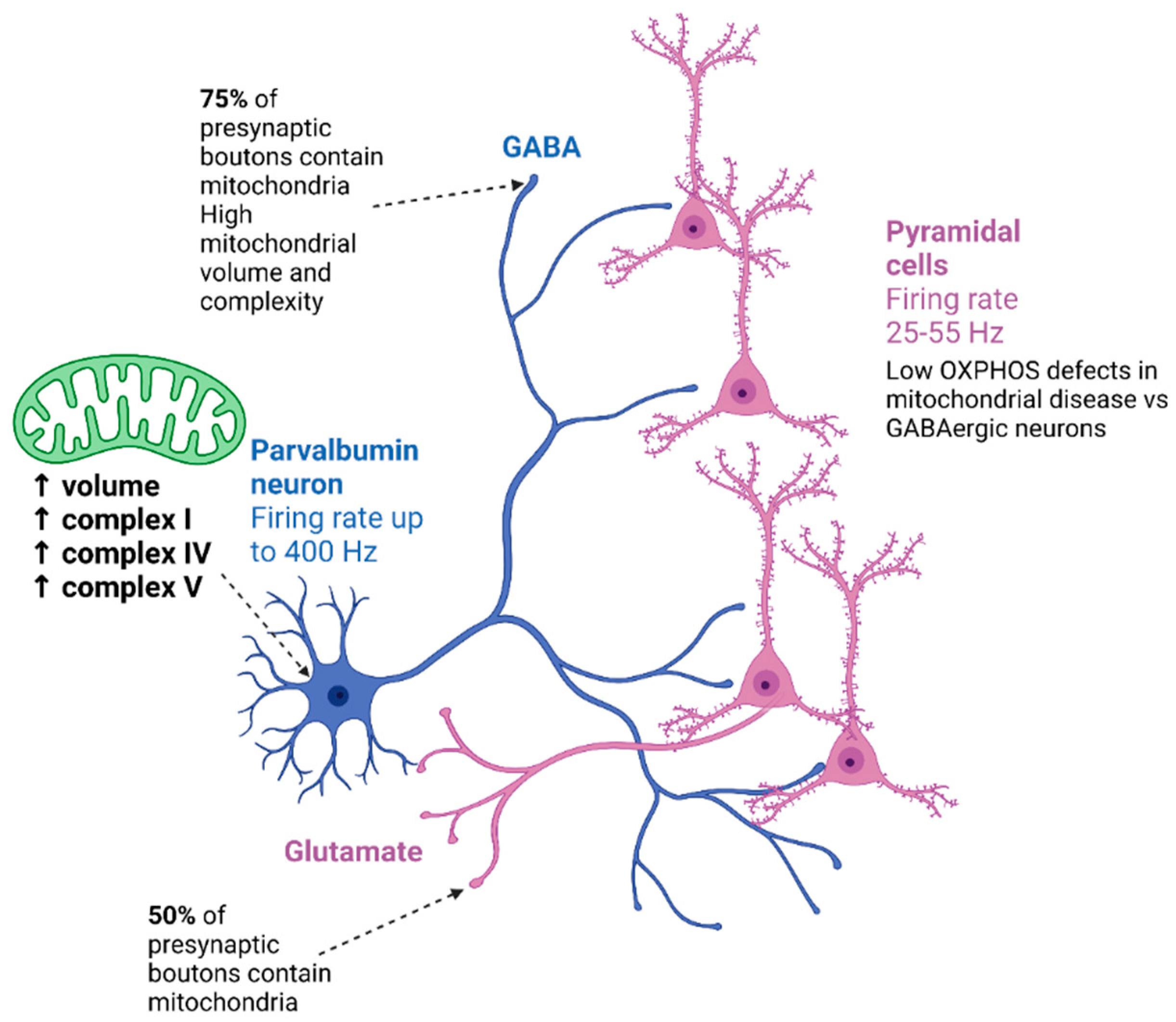 Ijms 24 09698 g001 Ijms 24 09698 g001