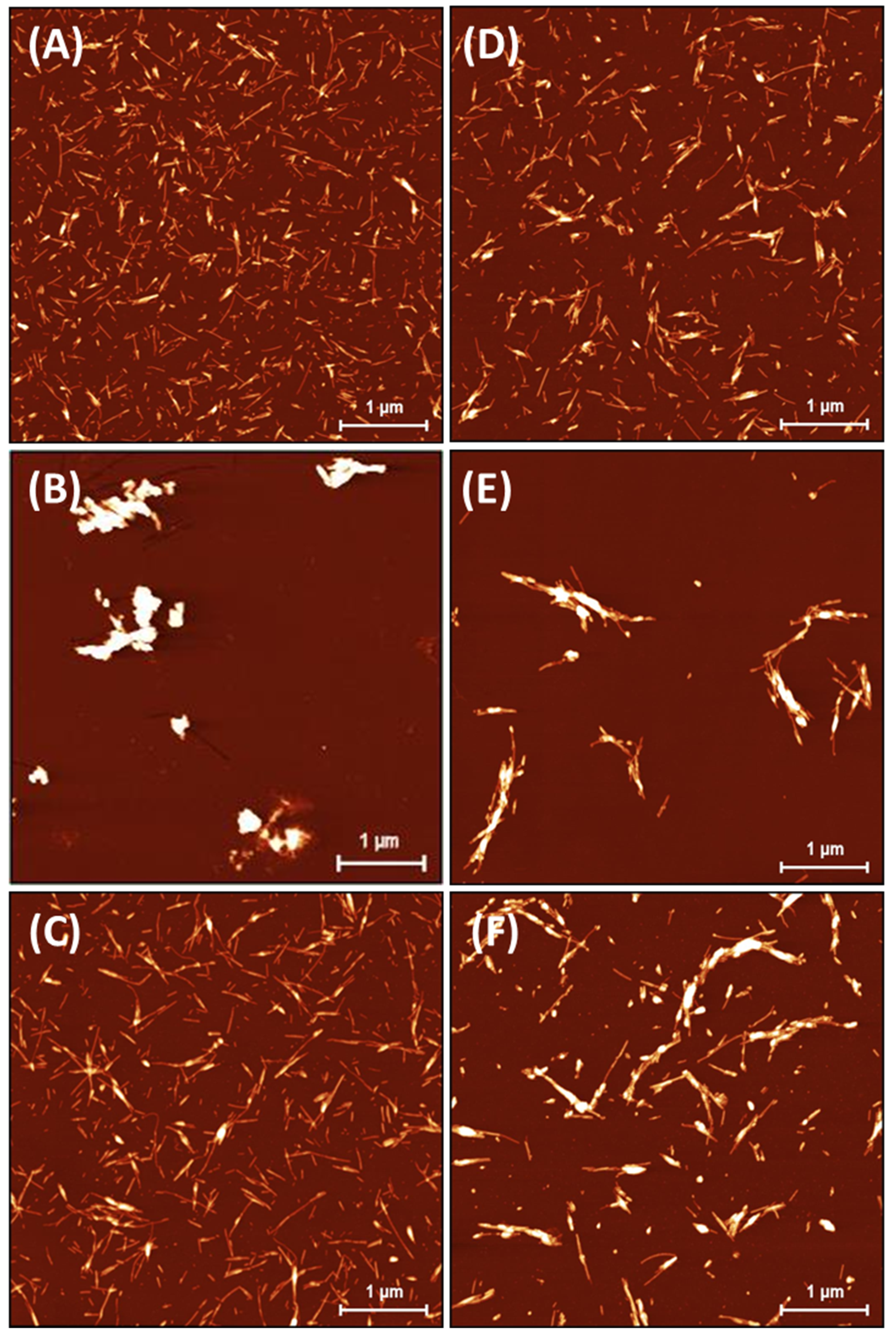 Ijms 24 09699 g002 Ijms 24 09699 g002