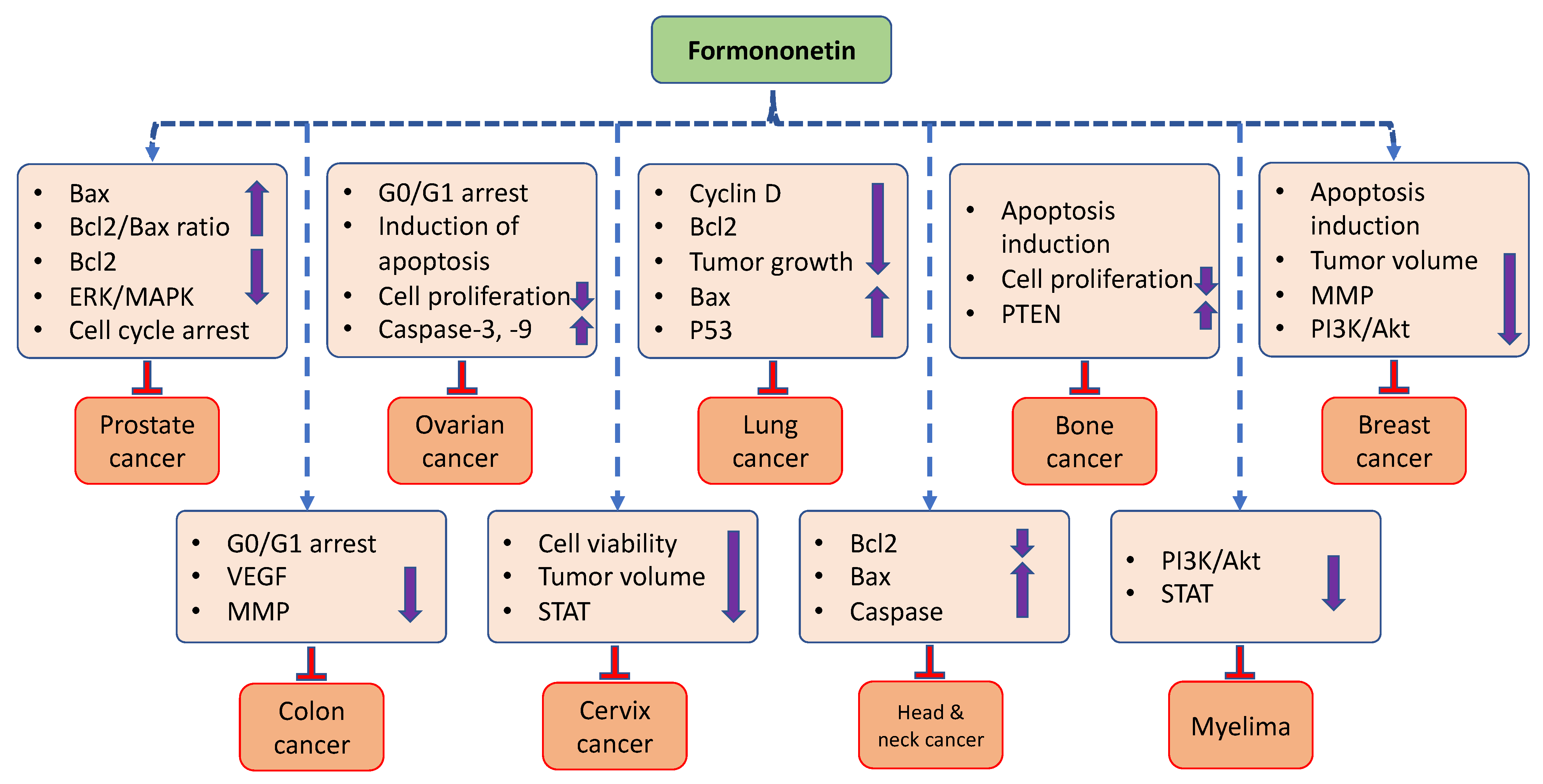 Ijms 24 09719 g003 Ijms 24 09719 g003
