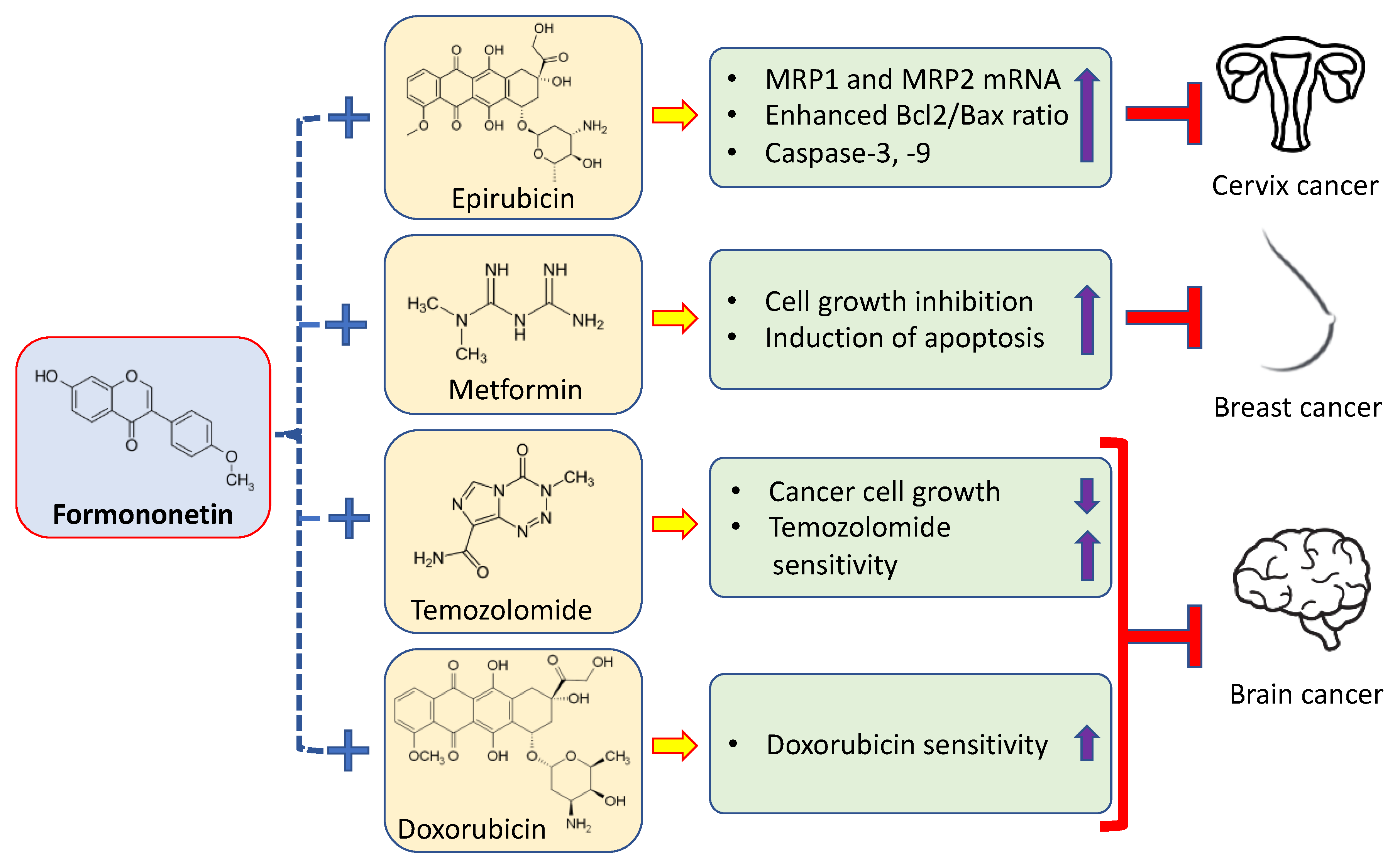 Ijms 24 09719 g004 Ijms 24 09719 g004