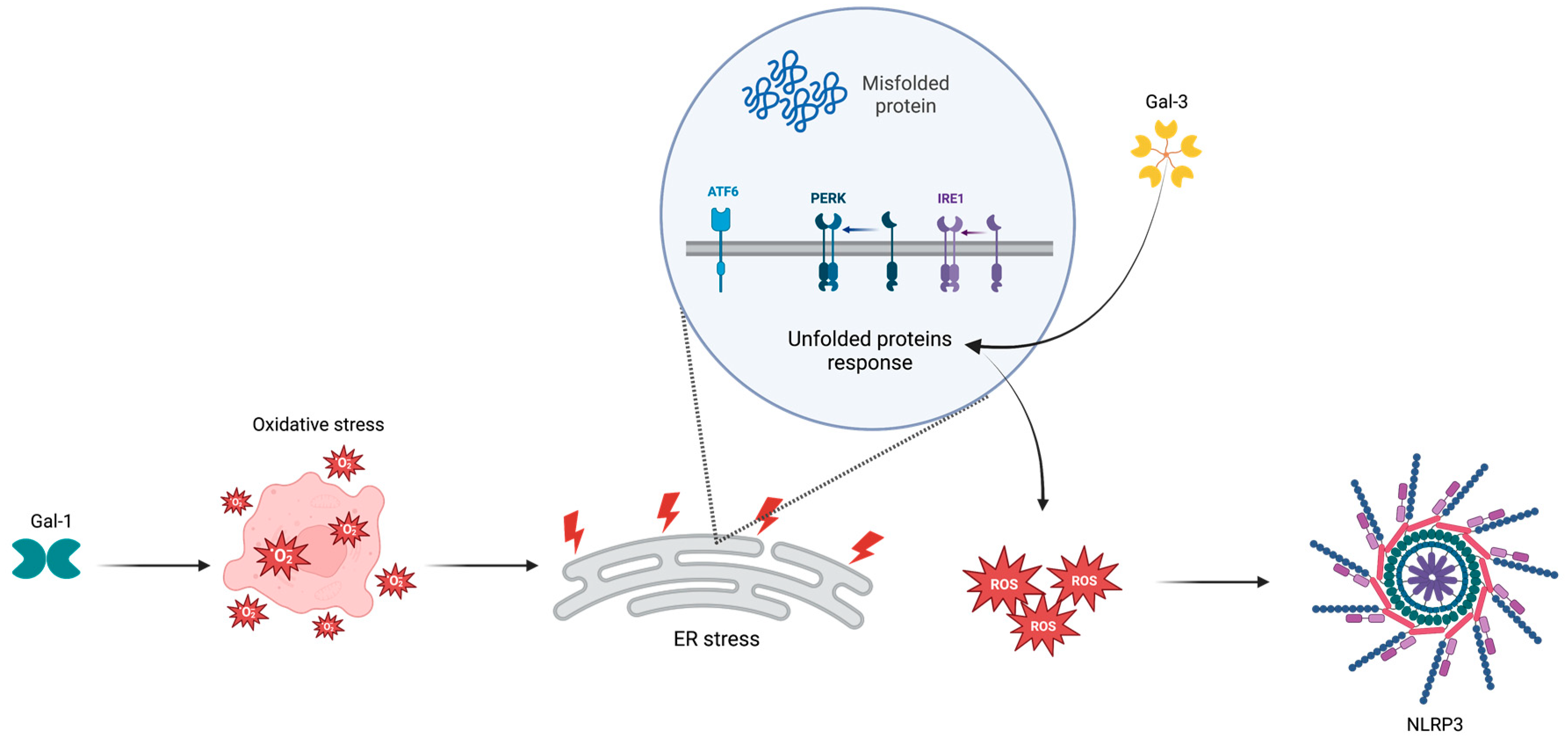 Ijms 24 09721 g001 Ijms 24 09721 g001