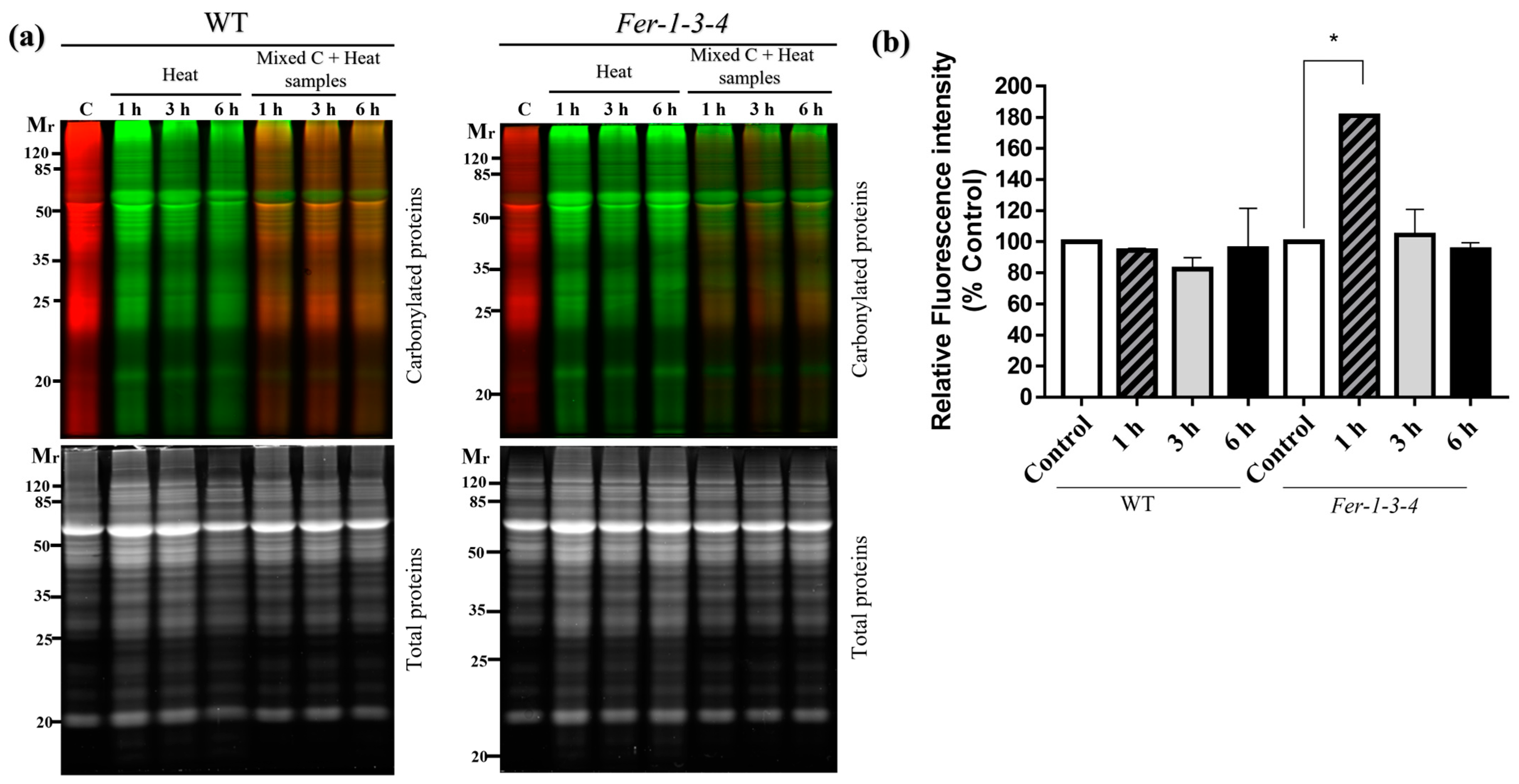 Ijms 24 09732 g003 Ijms 24 09732 g003