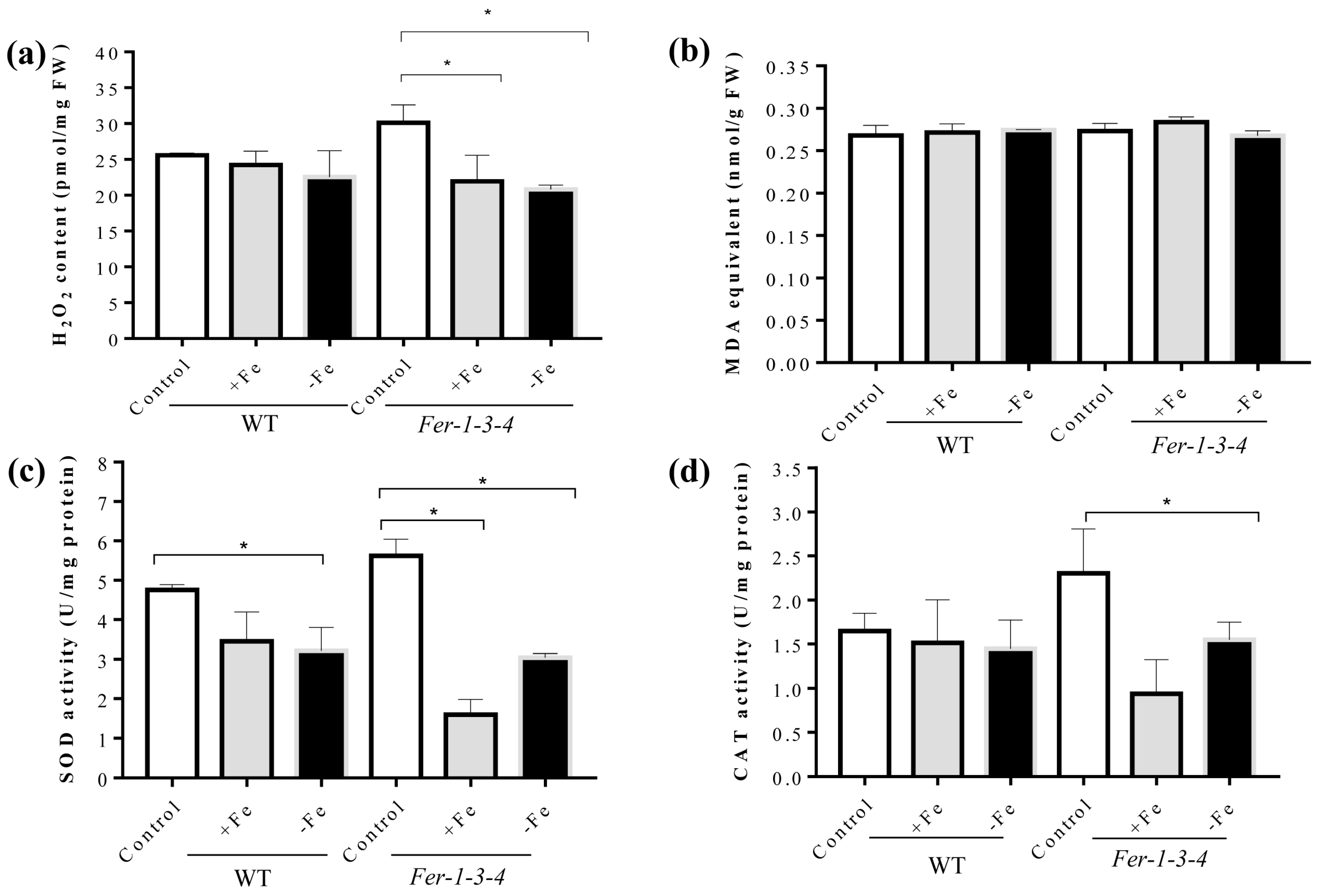 Ijms 24 09732 g005 Ijms 24 09732 g005