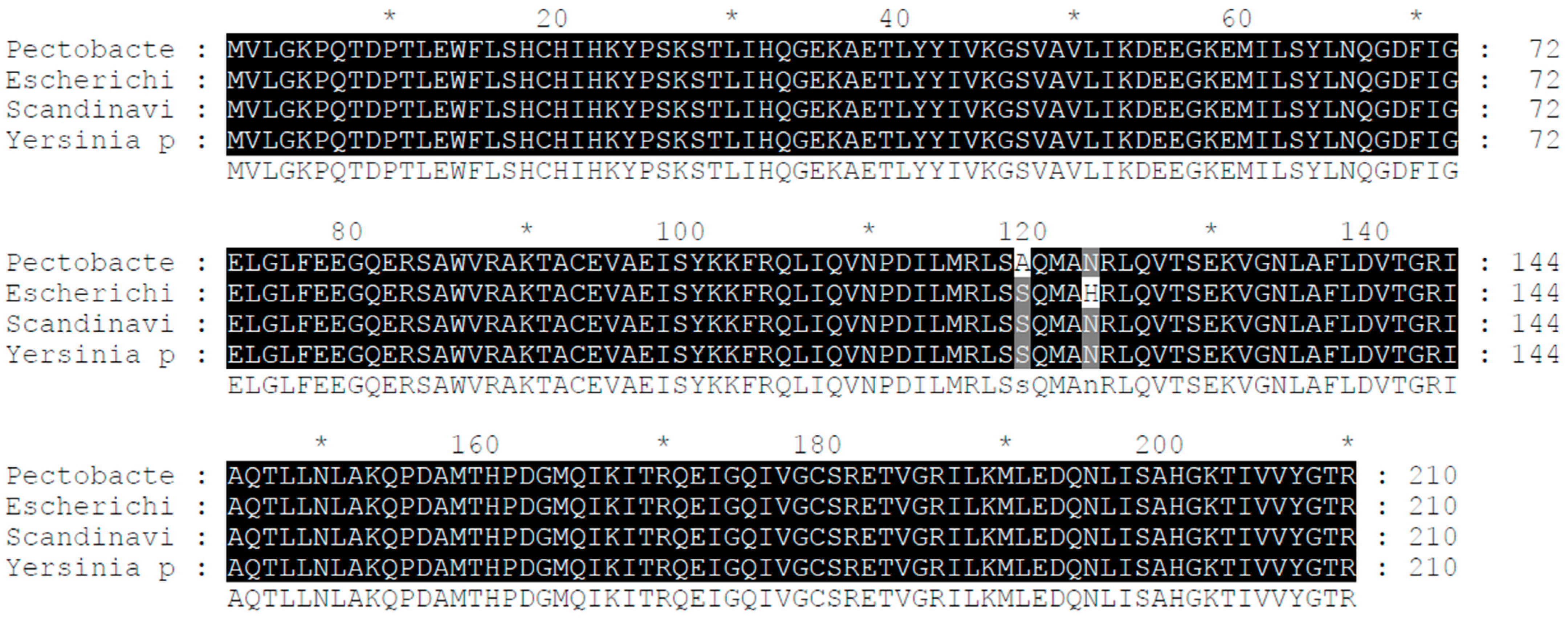 Ijms 24 09752 g001 Ijms 24 09752 g001