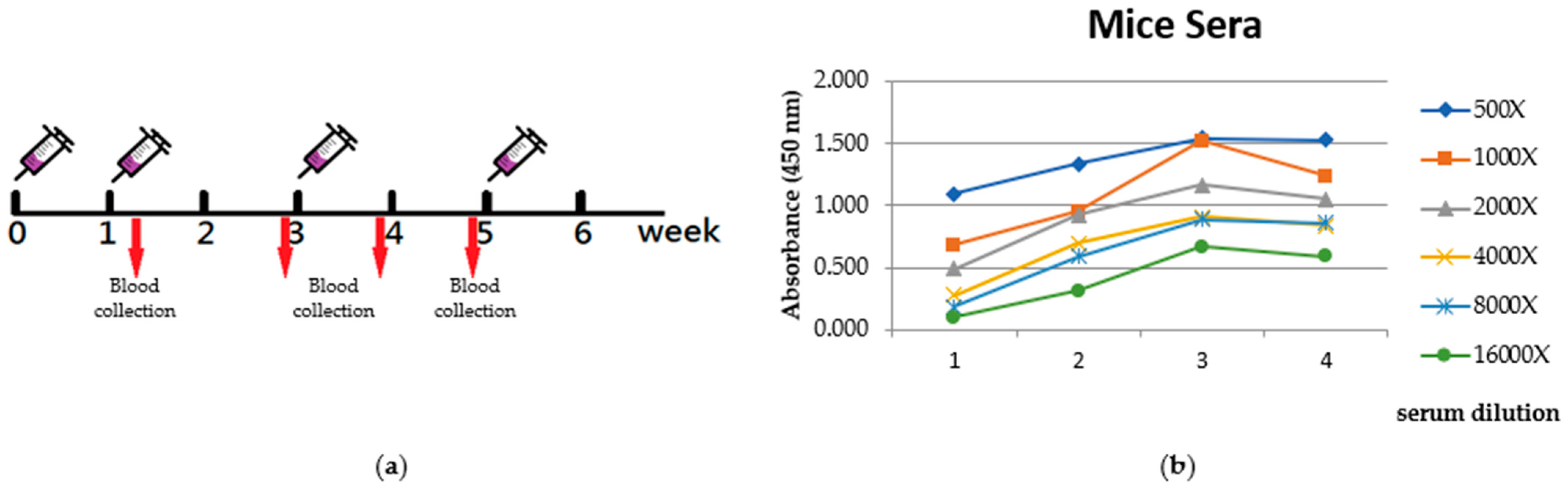 Ijms 24 09752 g005 Ijms 24 09752 g005