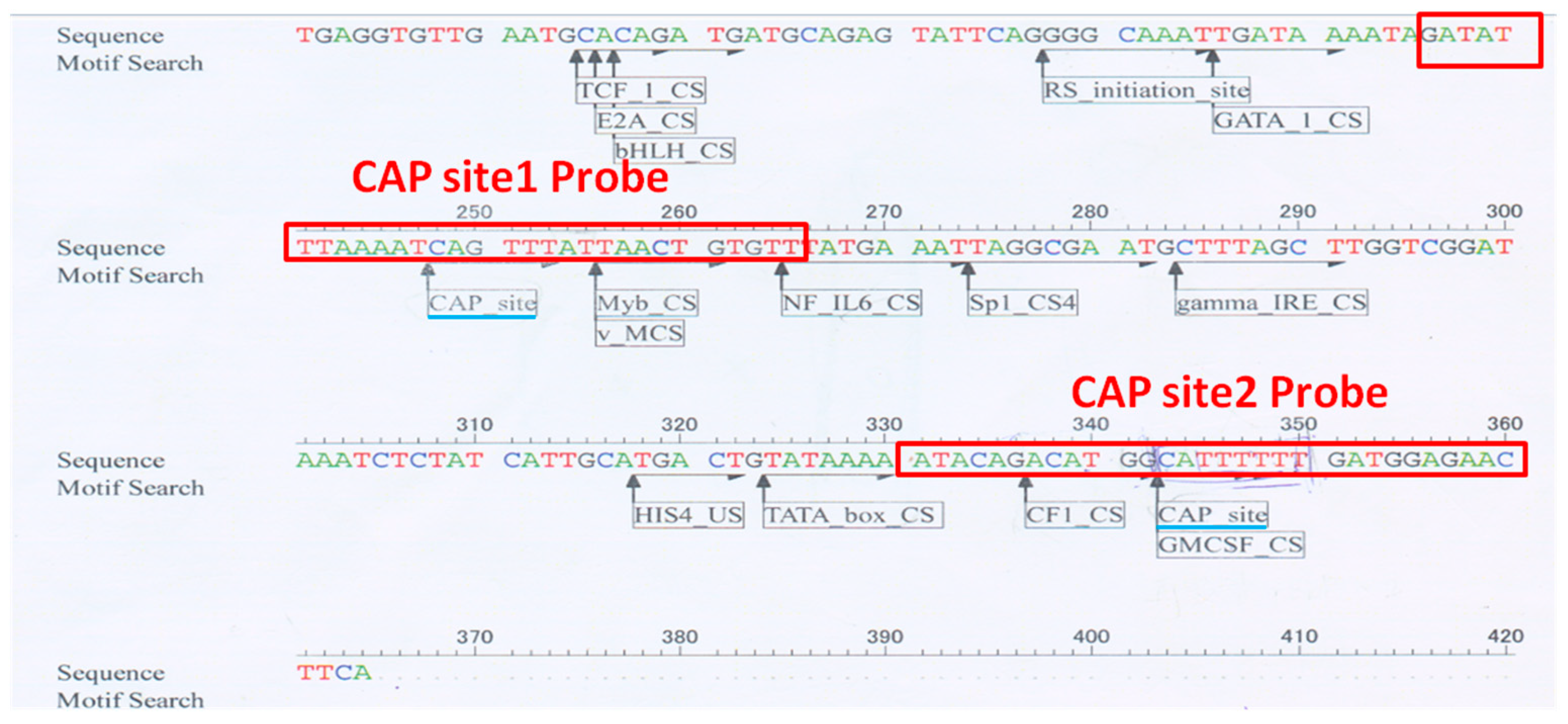 Ijms 24 09752 g007 Ijms 24 09752 g007