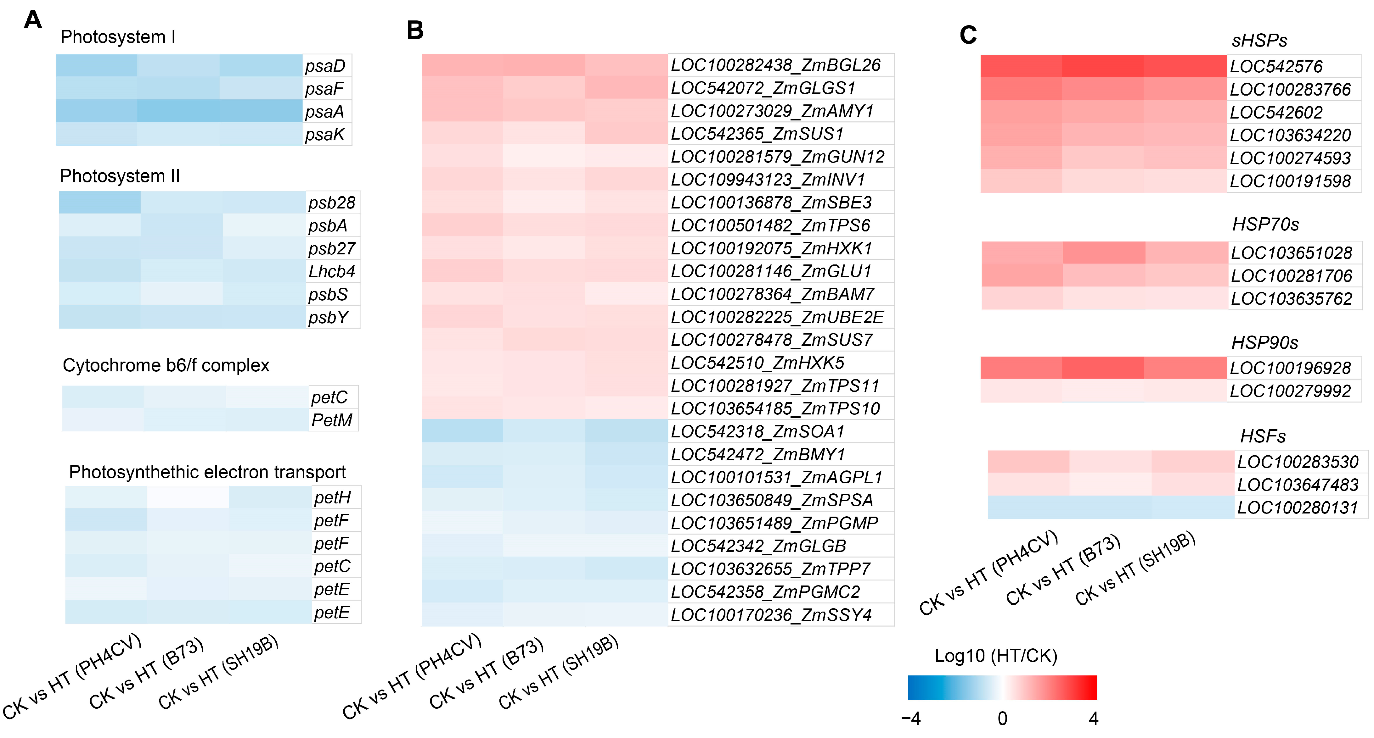 Ijms 24 09782 g003 Ijms 24 09782 g003