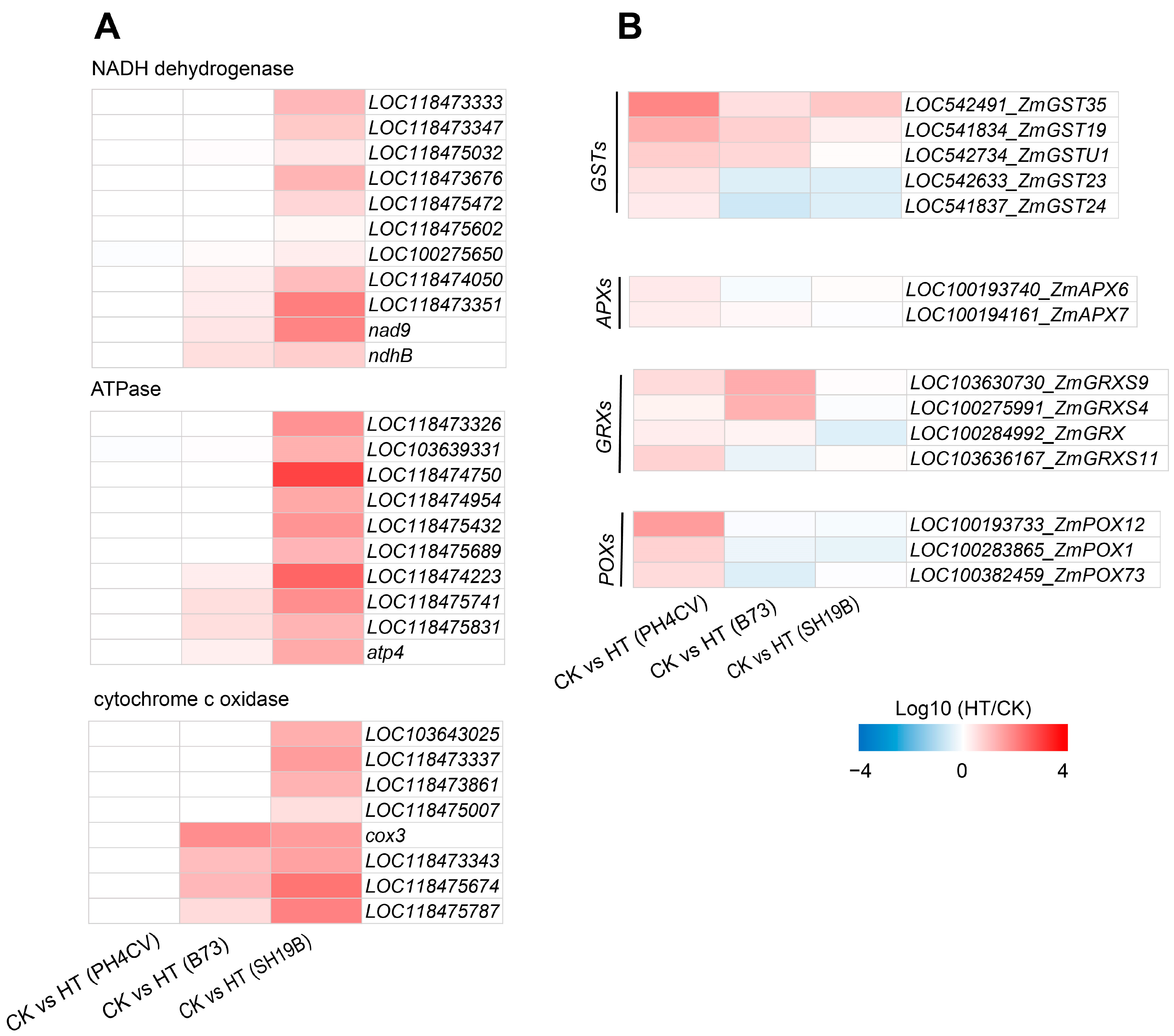 Ijms 24 09782 g004 Ijms 24 09782 g004