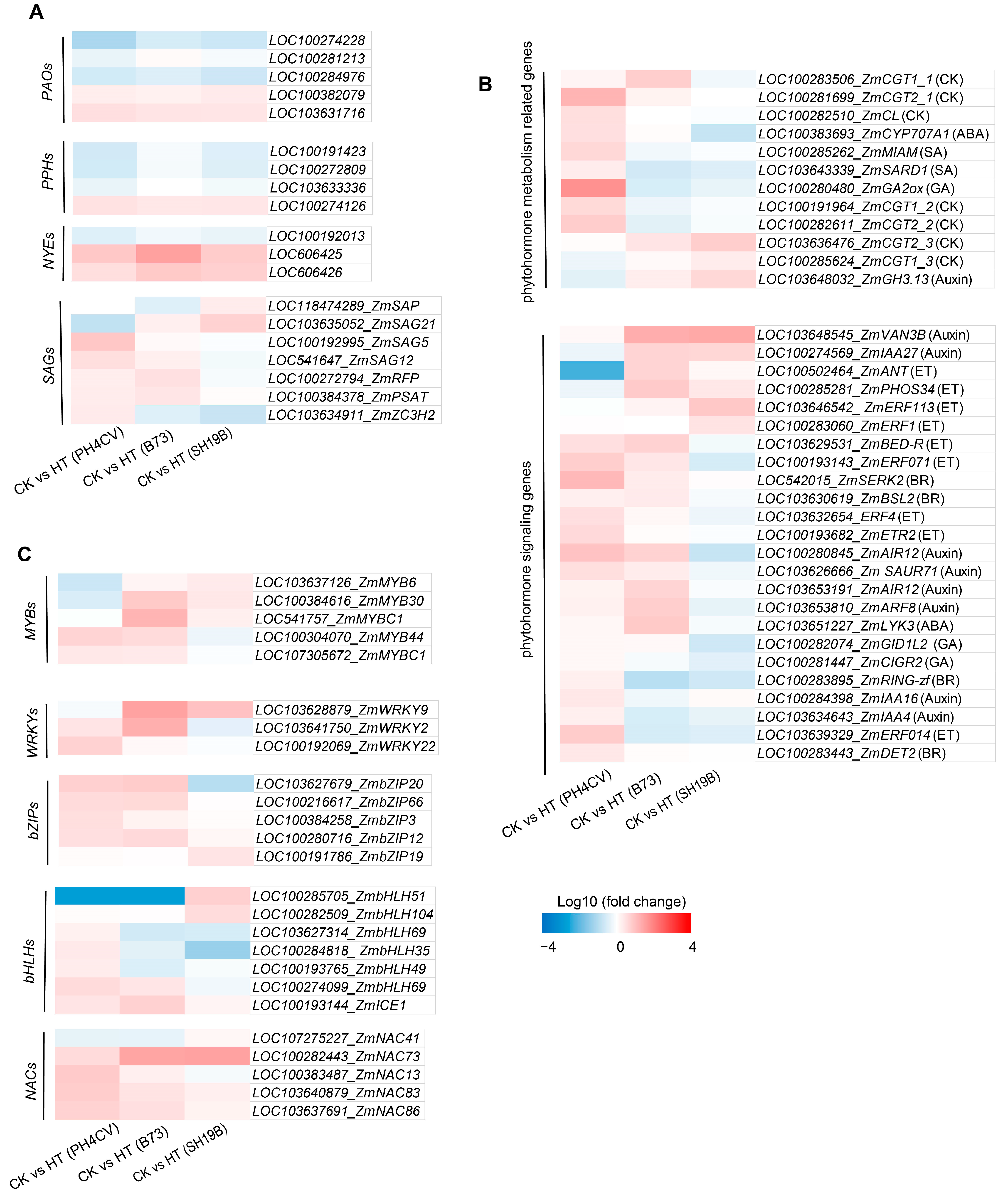 Ijms 24 09782 g005 Ijms 24 09782 g005
