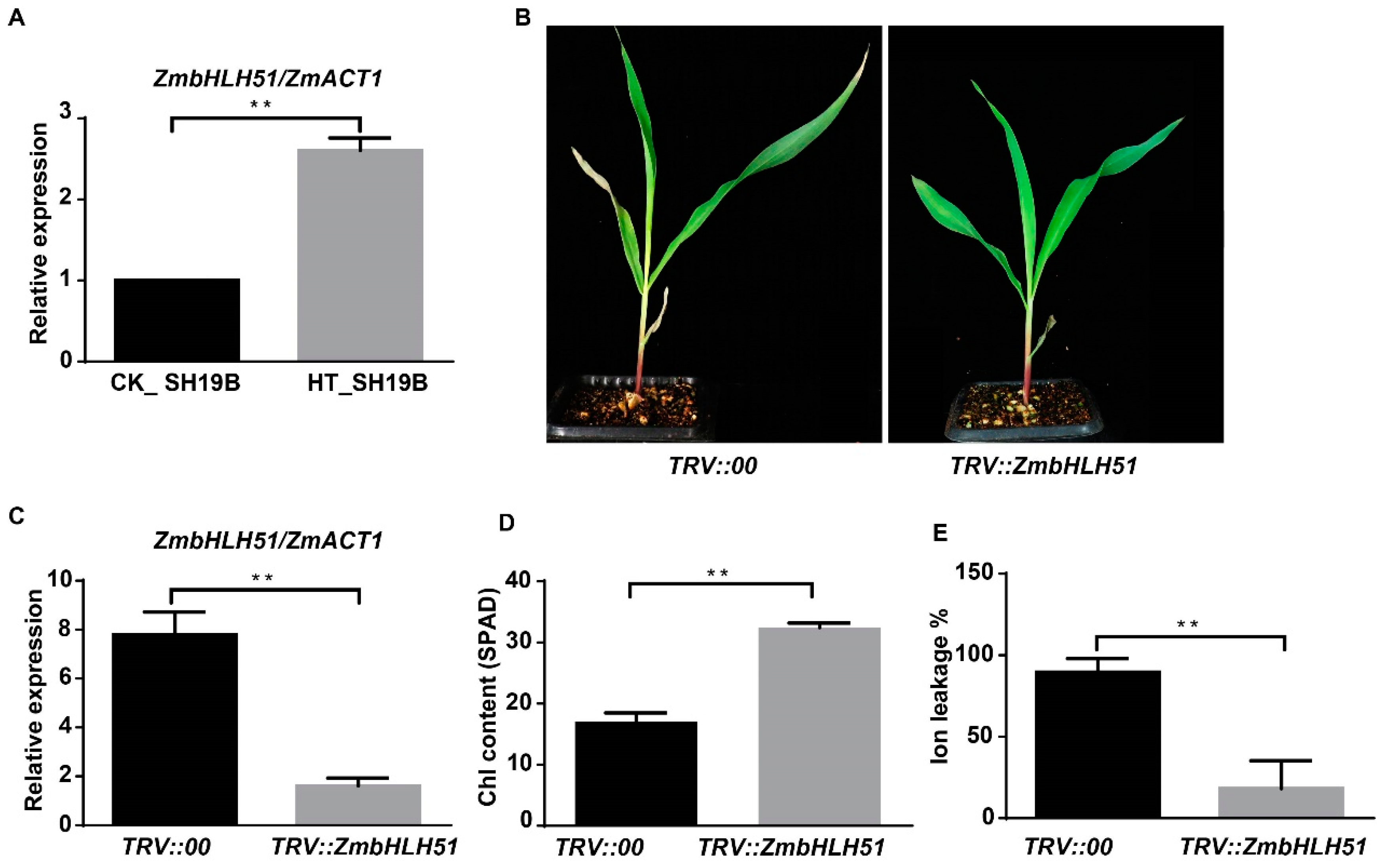 Ijms 24 09782 g006 Ijms 24 09782 g006