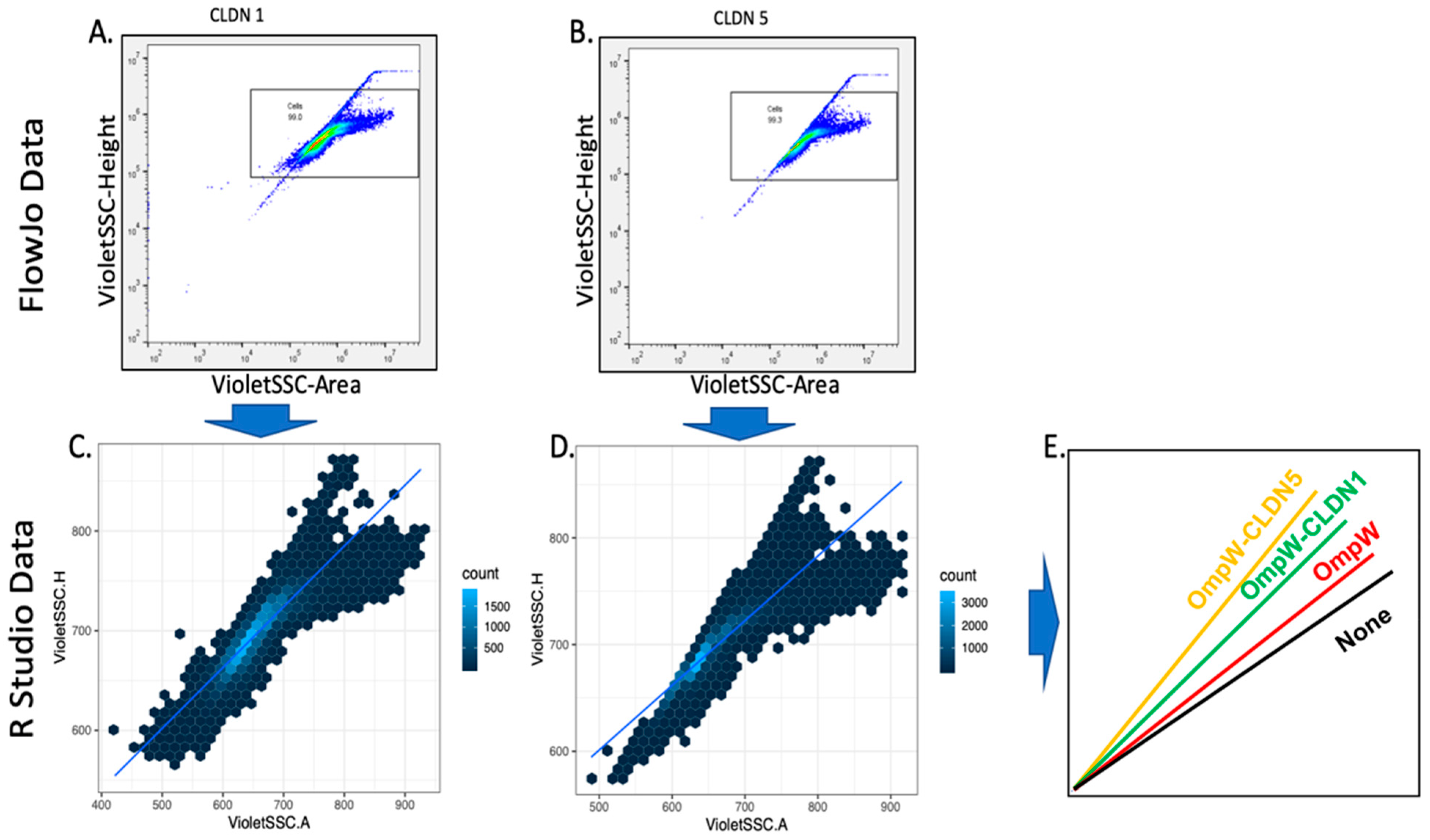 Ijms 24 09784 g003 Ijms 24 09784 g003