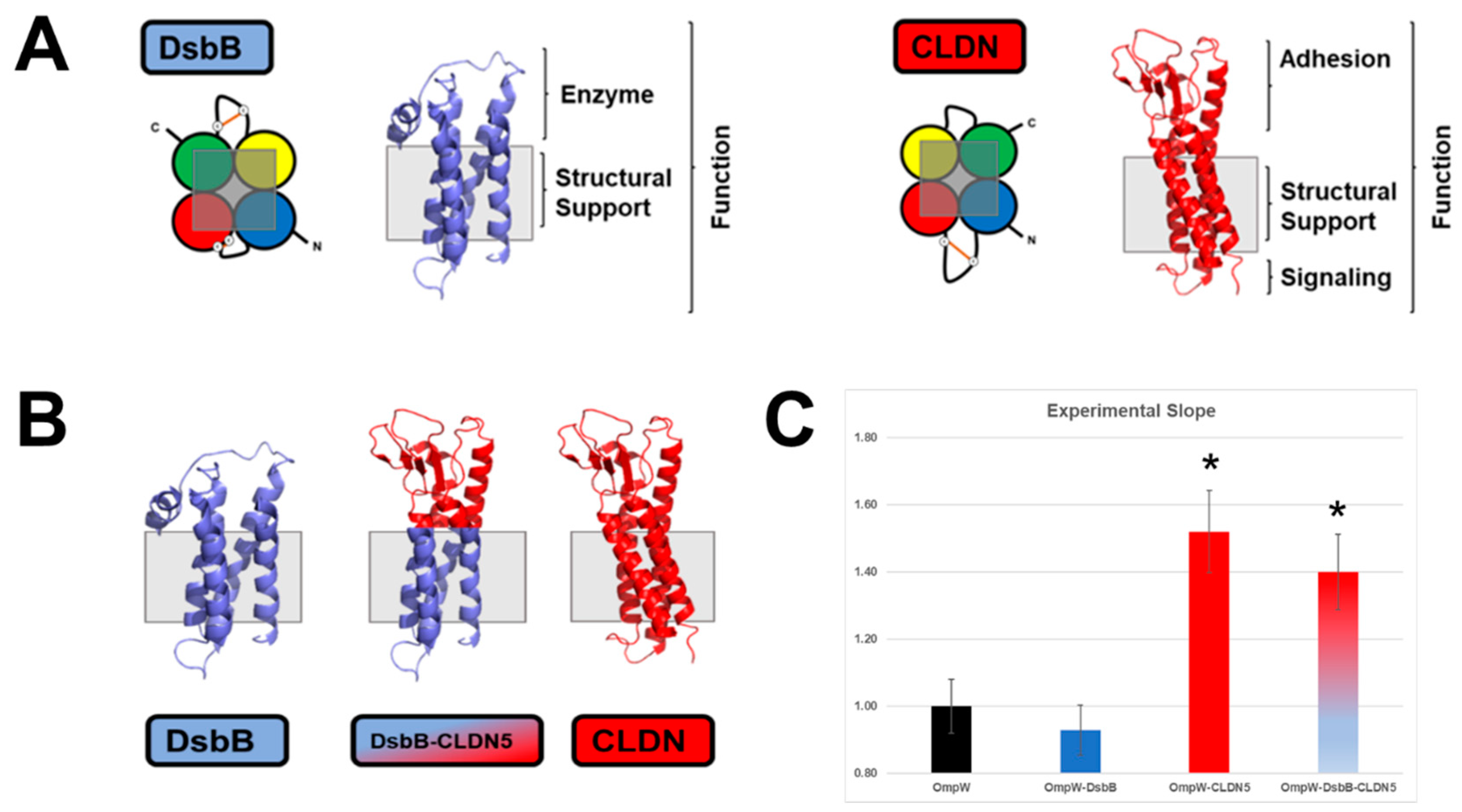 Ijms 24 09784 g004 Ijms 24 09784 g004
