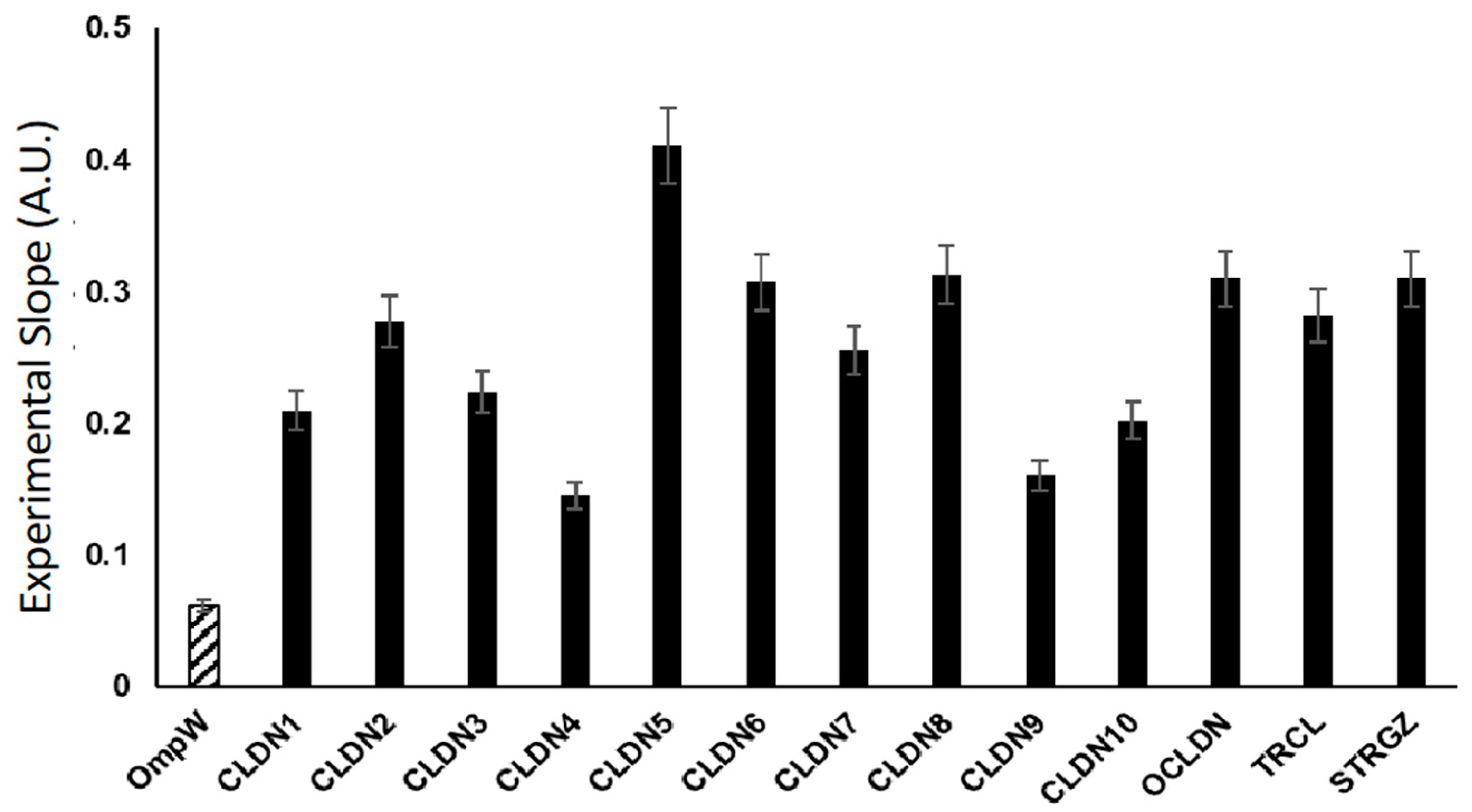 Ijms 24 09784 g005 Ijms 24 09784 g005