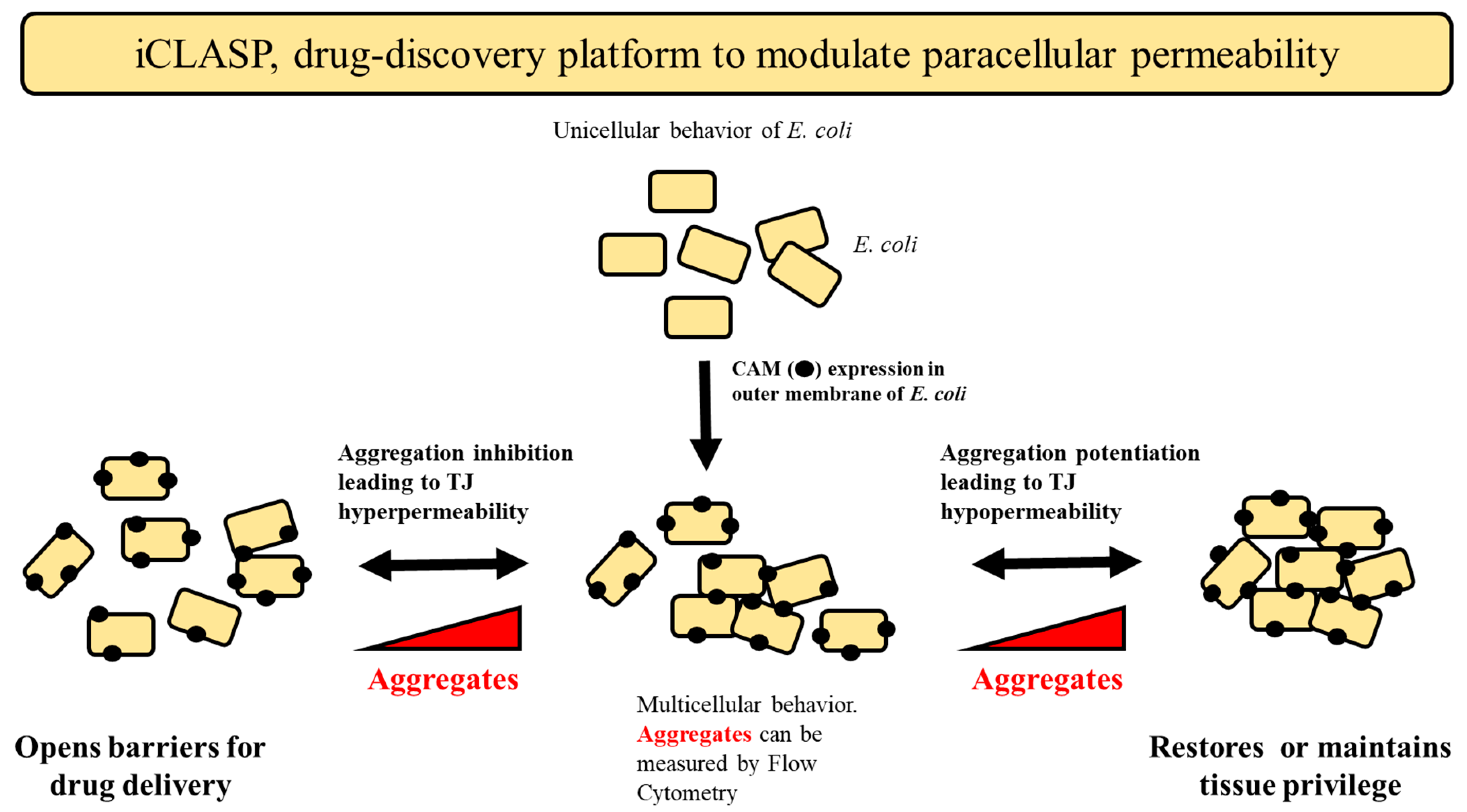 Ijms 24 09784 g008 Ijms 24 09784 g008