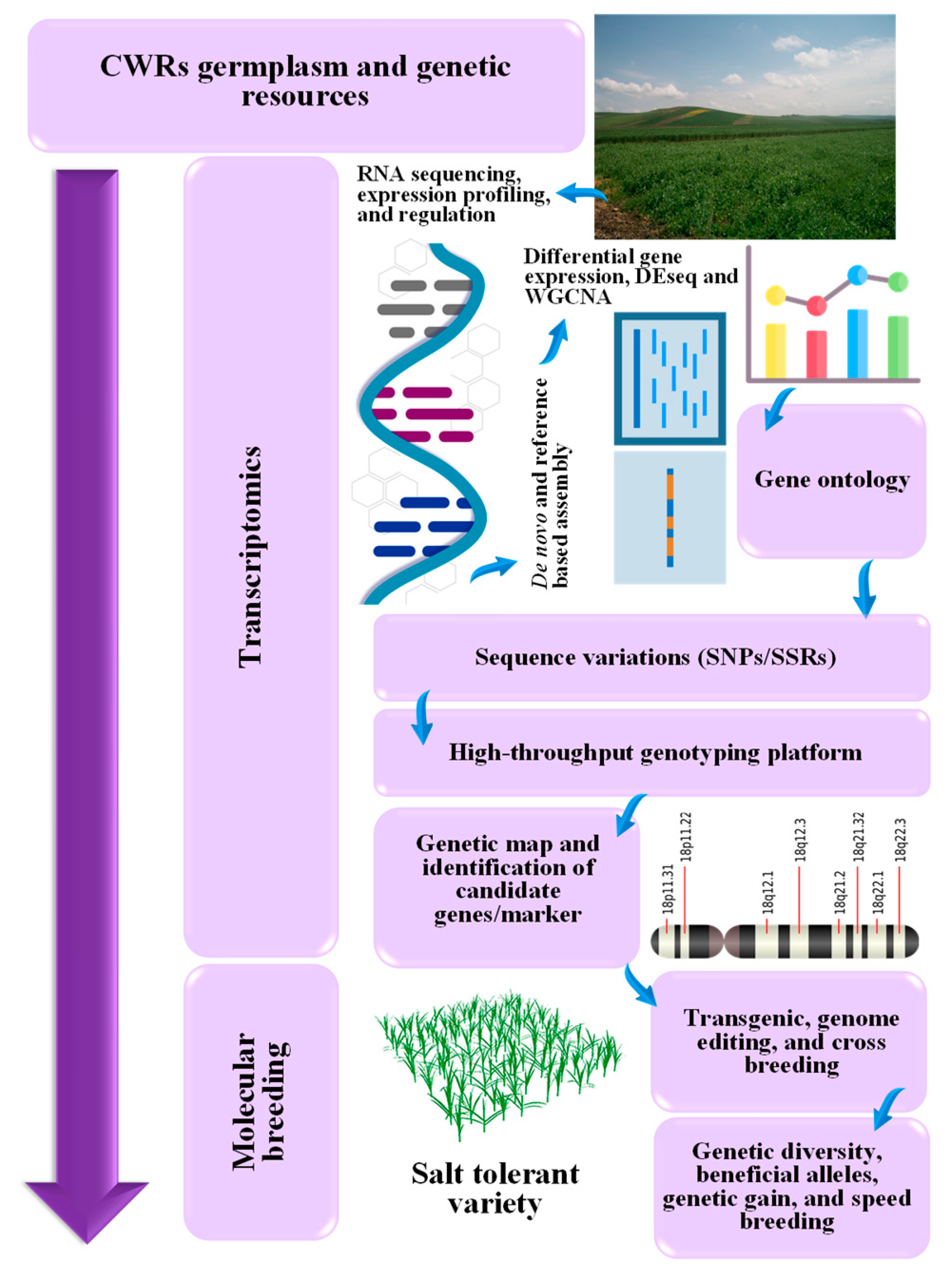Ijms 24 09813 g004 Ijms 24 09813 g004