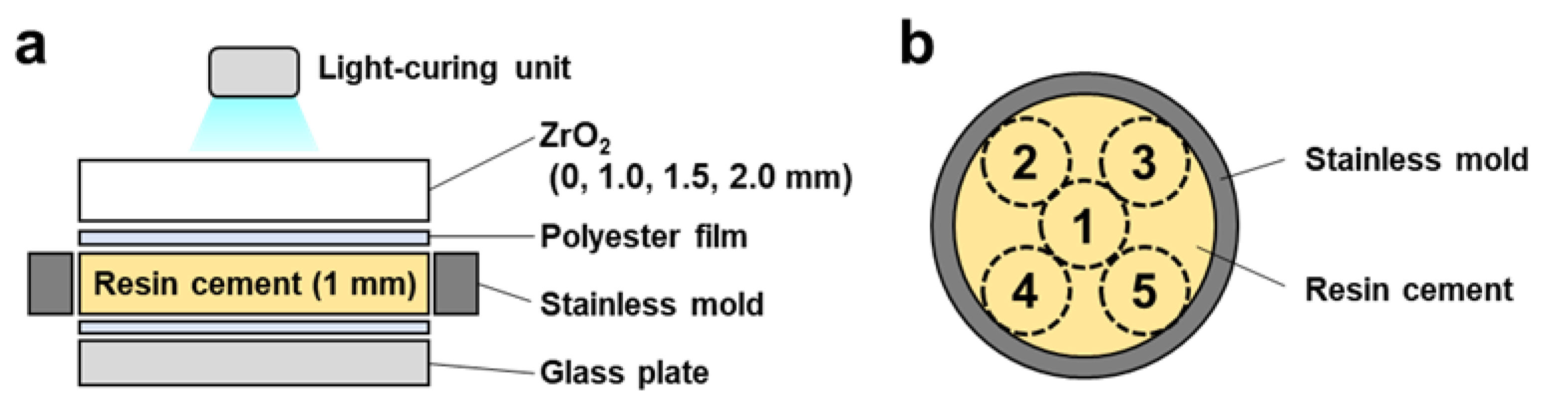 Ijms 24 09861 g007 Ijms 24 09861 g007