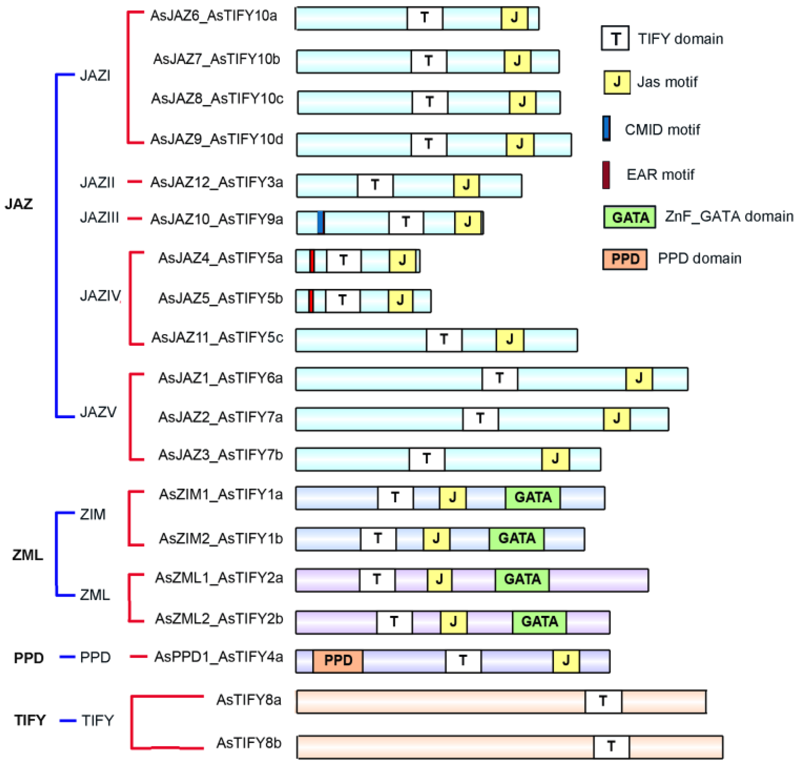 Ijms 24 09872 g002 Ijms 24 09872 g002