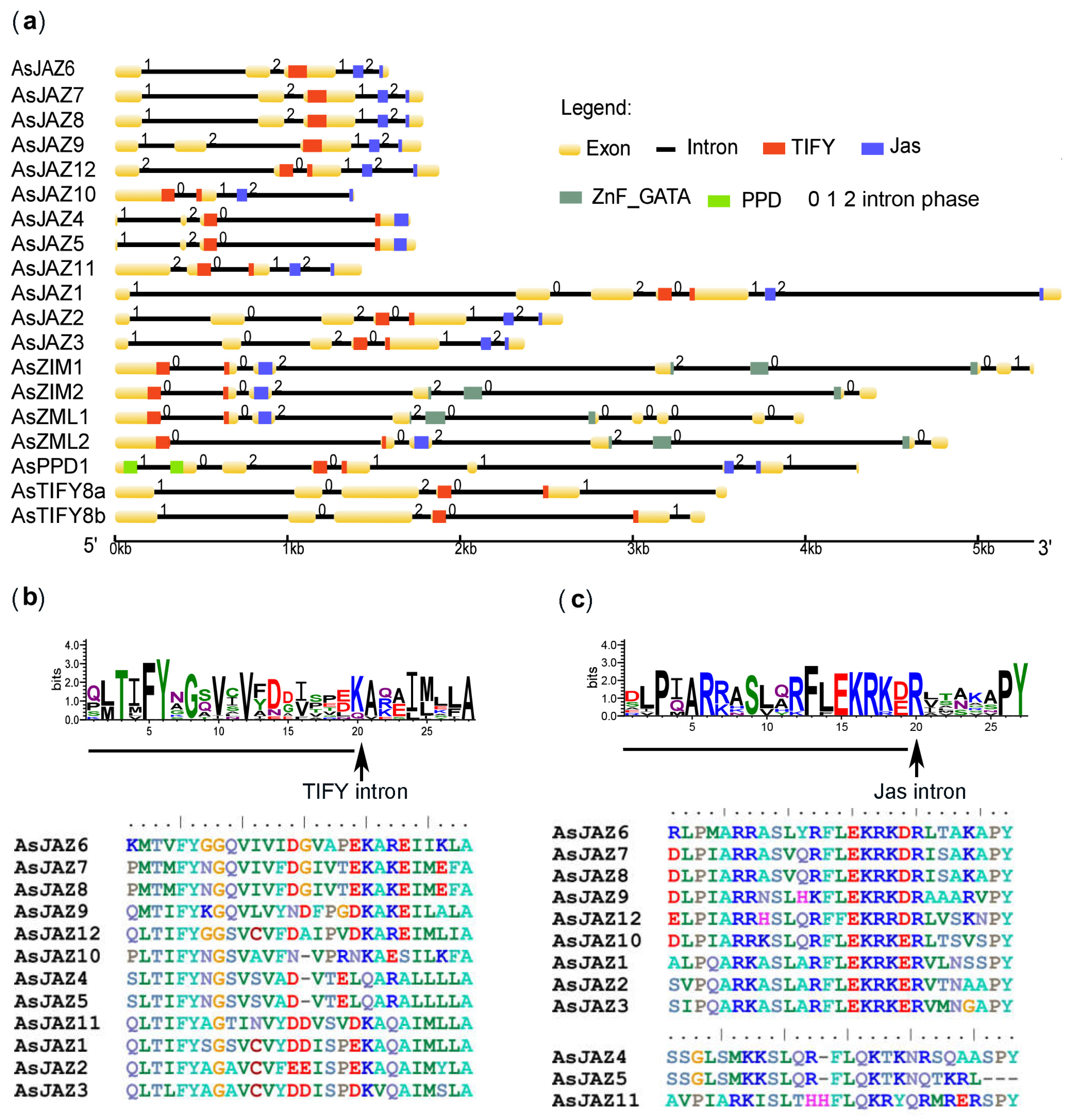 Ijms 24 09872 g003 Ijms 24 09872 g003
