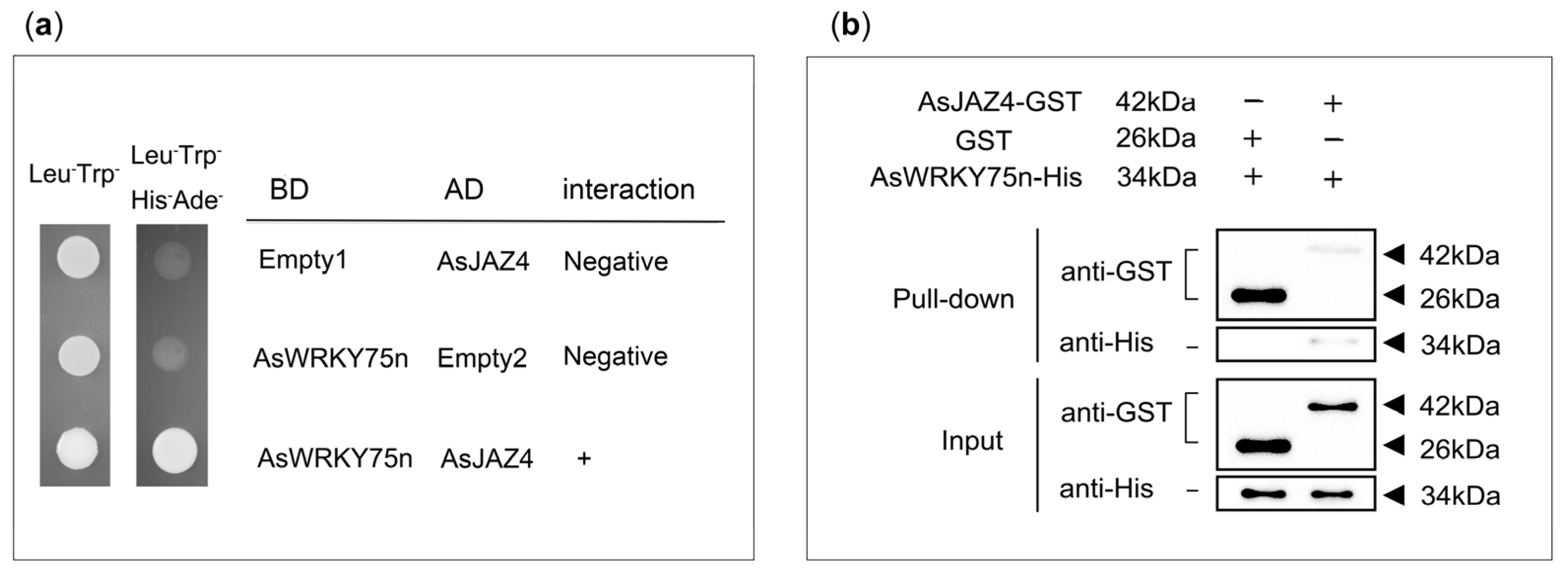 Ijms 24 09872 g008 Ijms 24 09872 g008