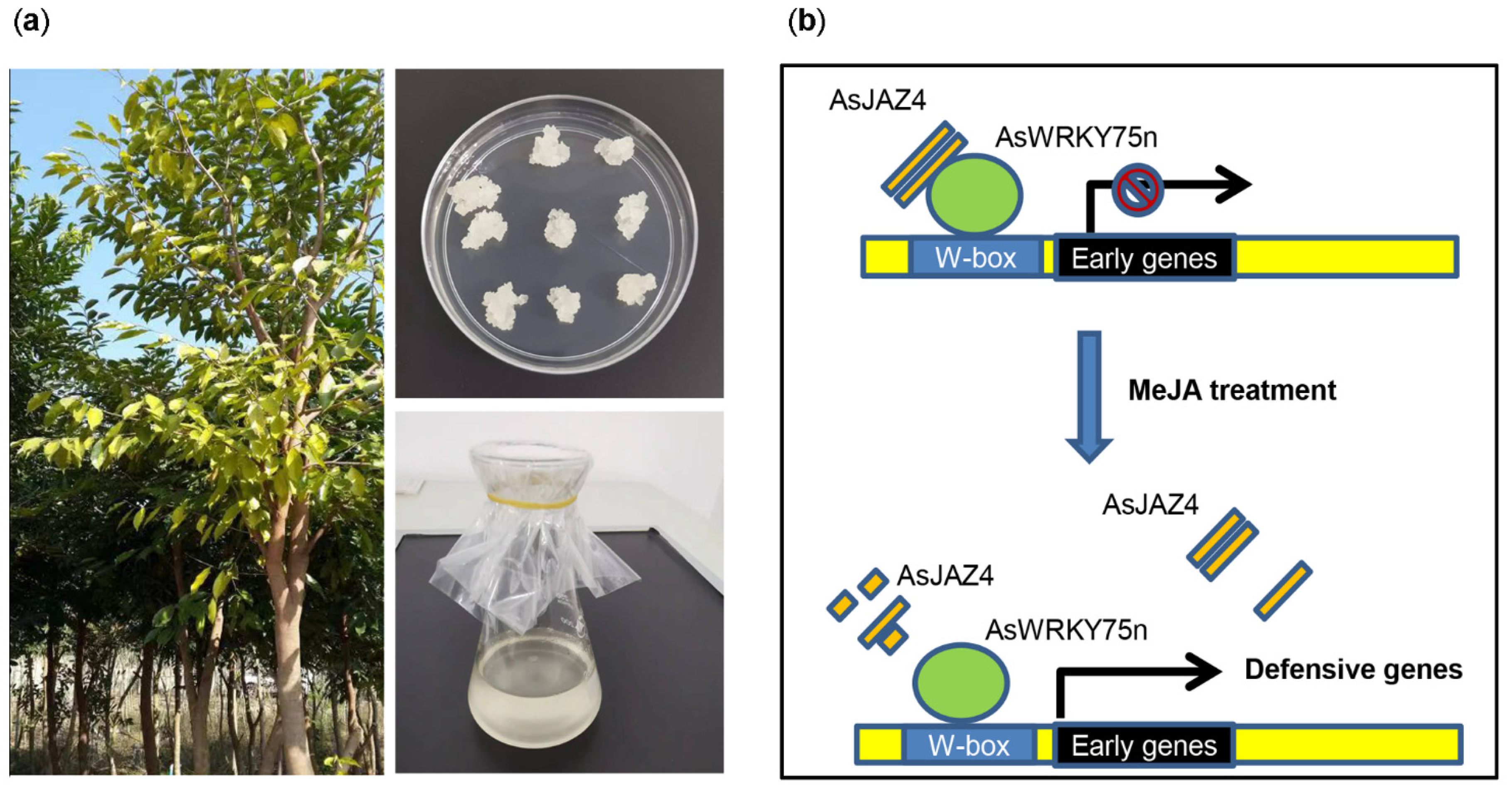 Ijms 24 09872 g009 Ijms 24 09872 g009