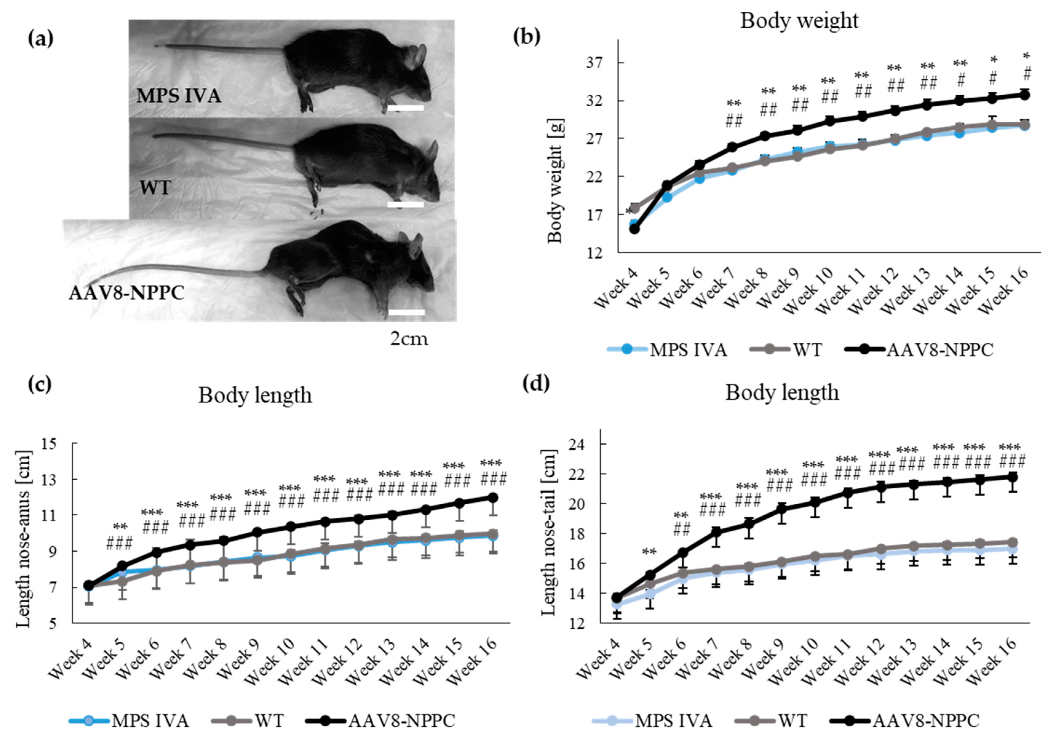 Ijms 24 09890 g002 Ijms 24 09890 g002