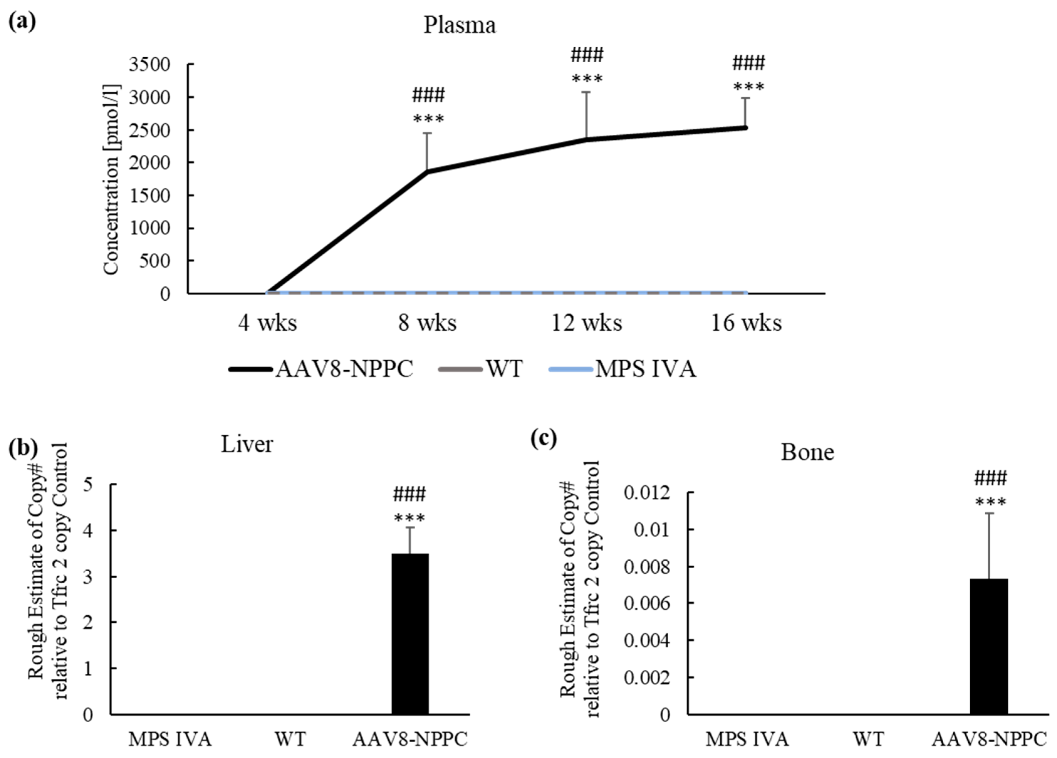 Ijms 24 09890 g004 Ijms 24 09890 g004
