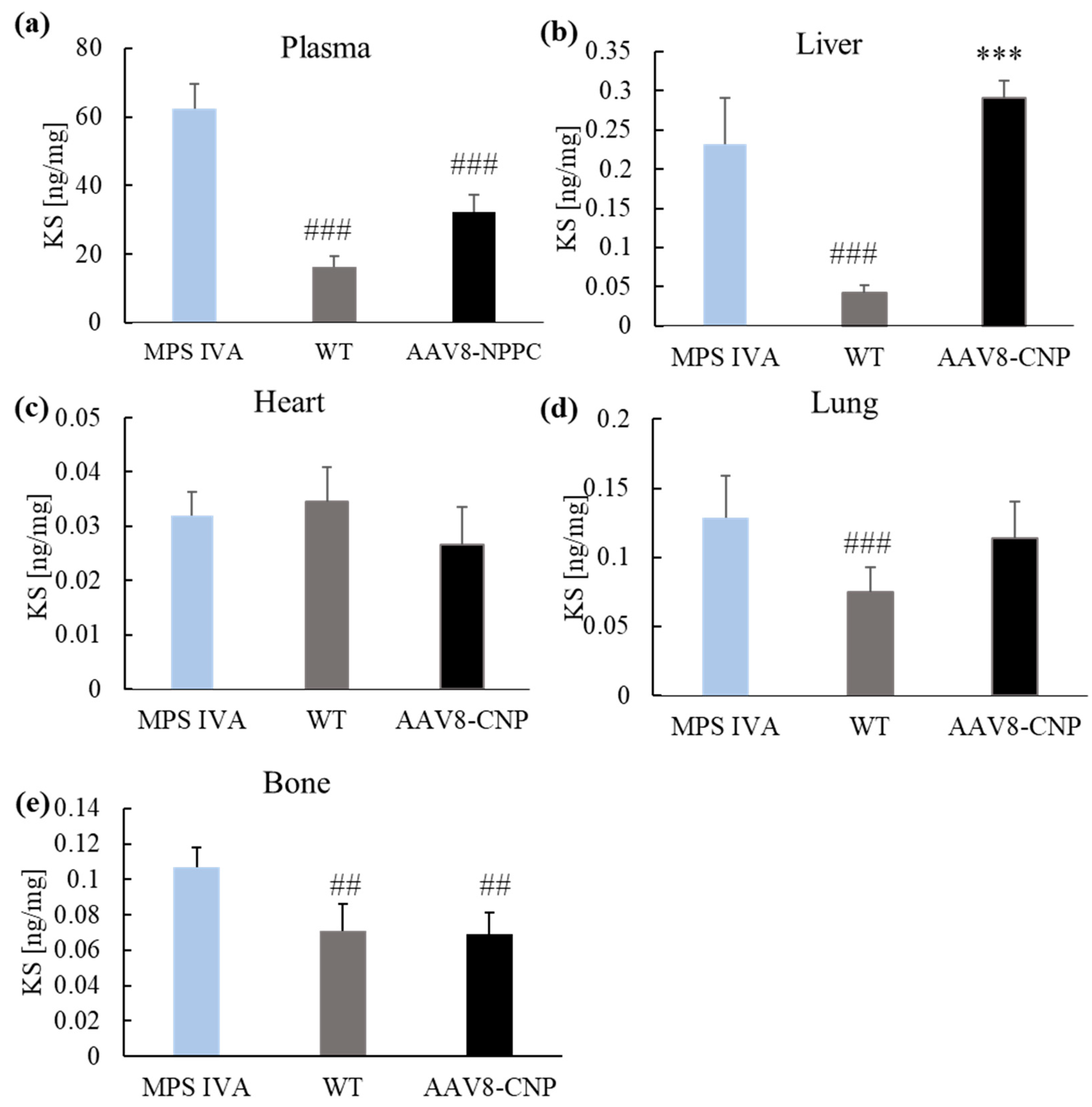 Ijms 24 09890 g005 Ijms 24 09890 g005