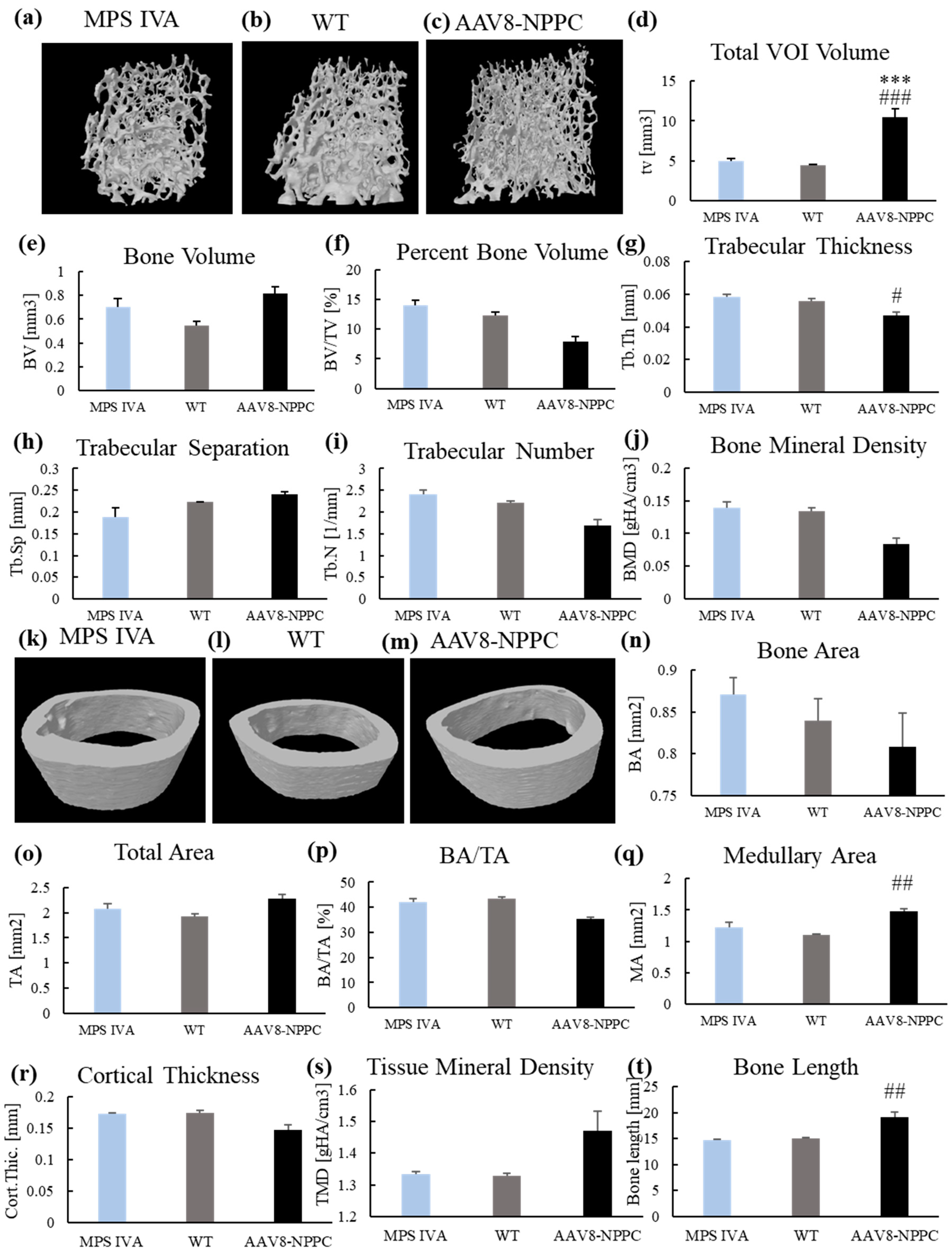 Ijms 24 09890 g006 Ijms 24 09890 g006