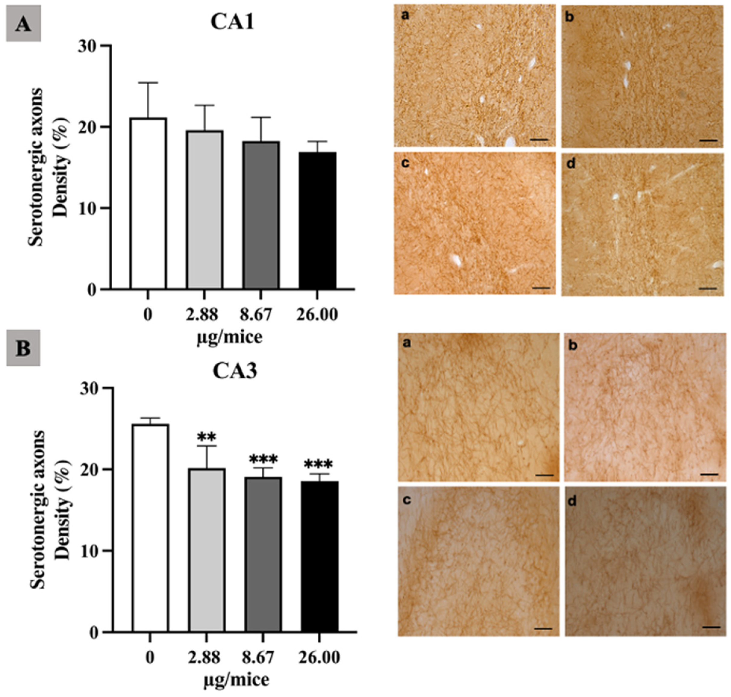 Ijms 24 09895 g002 Ijms 24 09895 g002