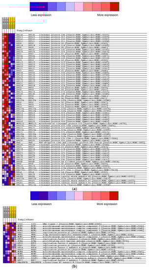 Ijms 24 09899 g0a1a Ijms 24 09899 g0a1a