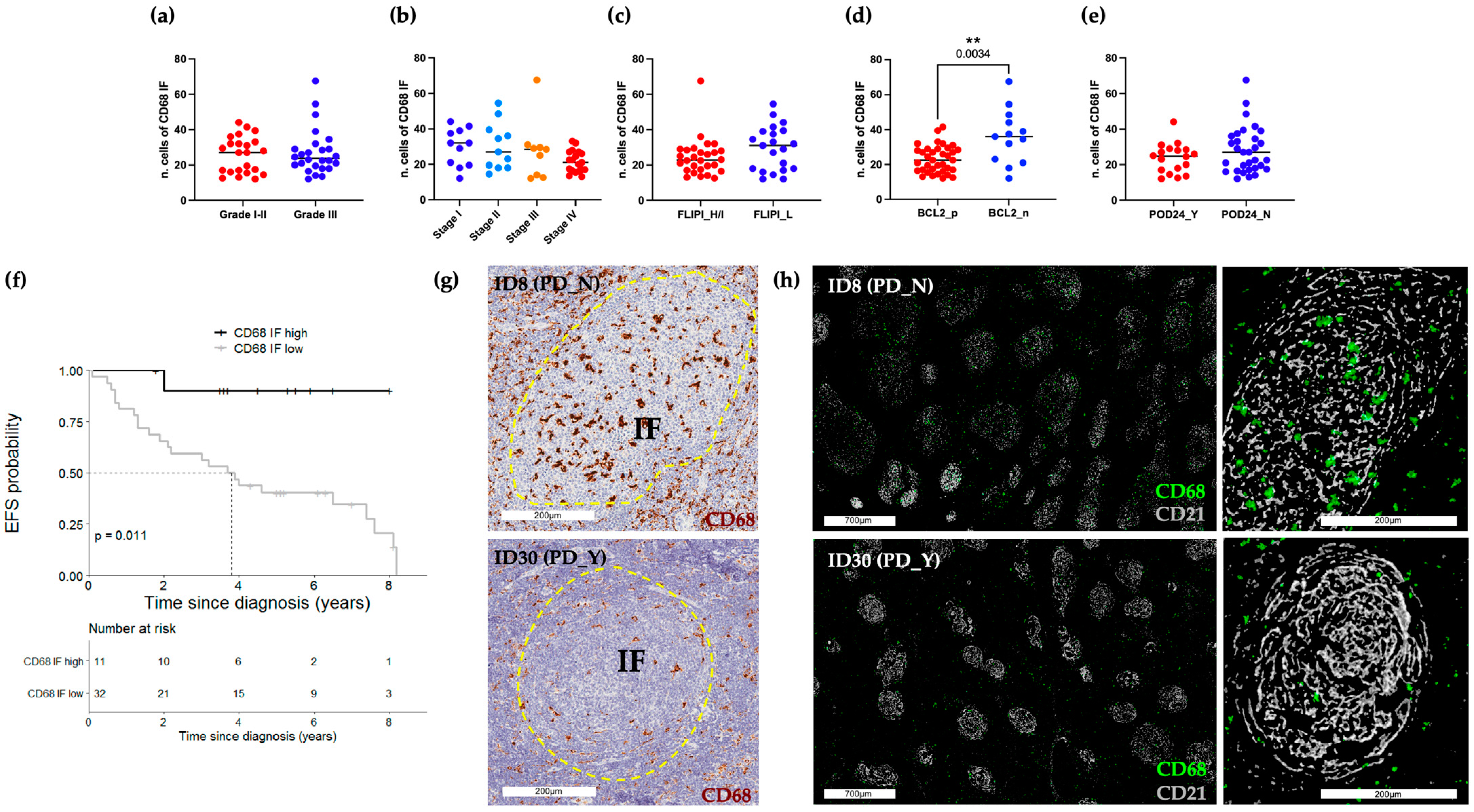 Ijms 24 09909 g001 Ijms 24 09909 g001