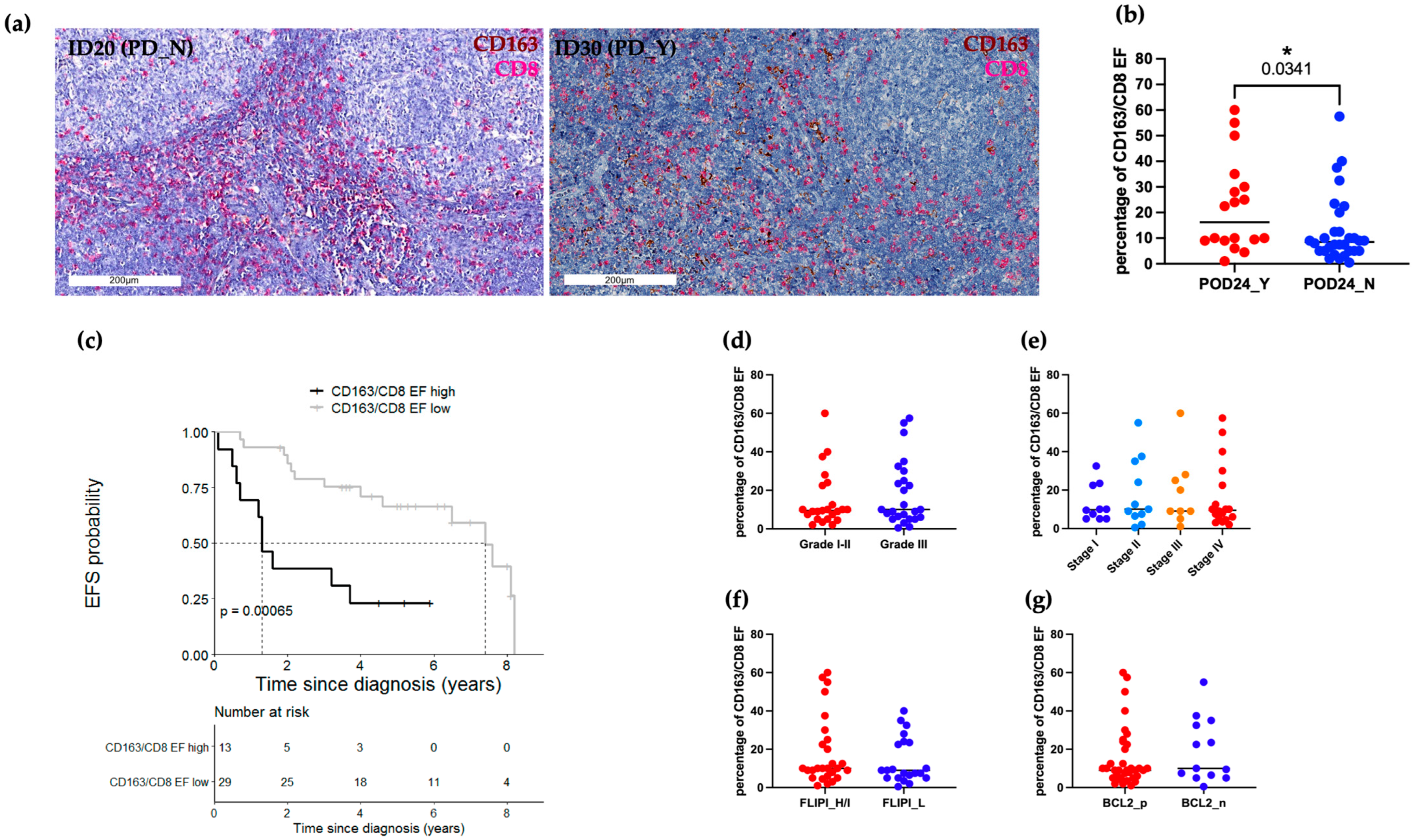Ijms 24 09909 g003 Ijms 24 09909 g003
